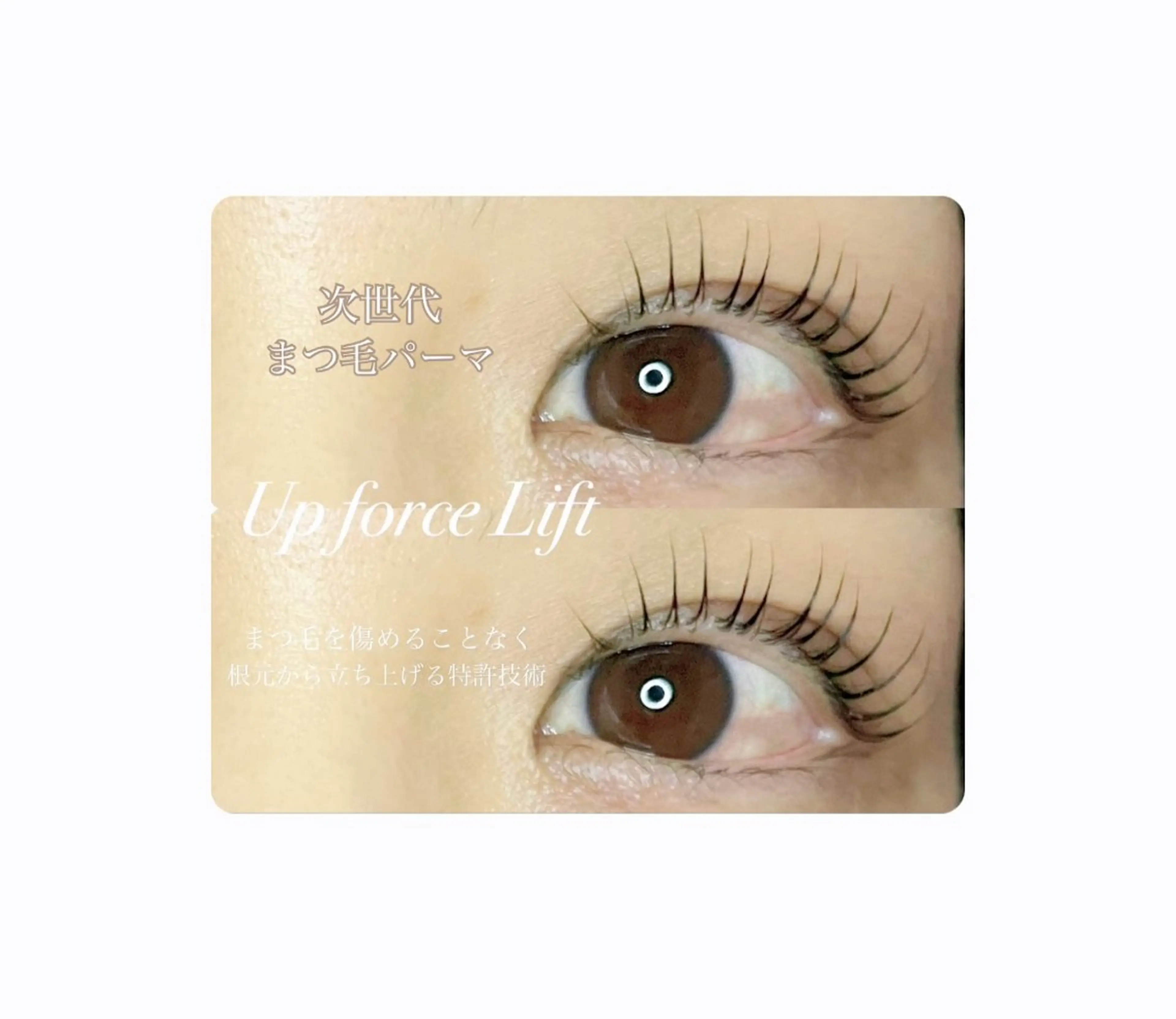 マツエク・マツパ 🤍下村 絢香🤍のマツエク・マツパデザイン