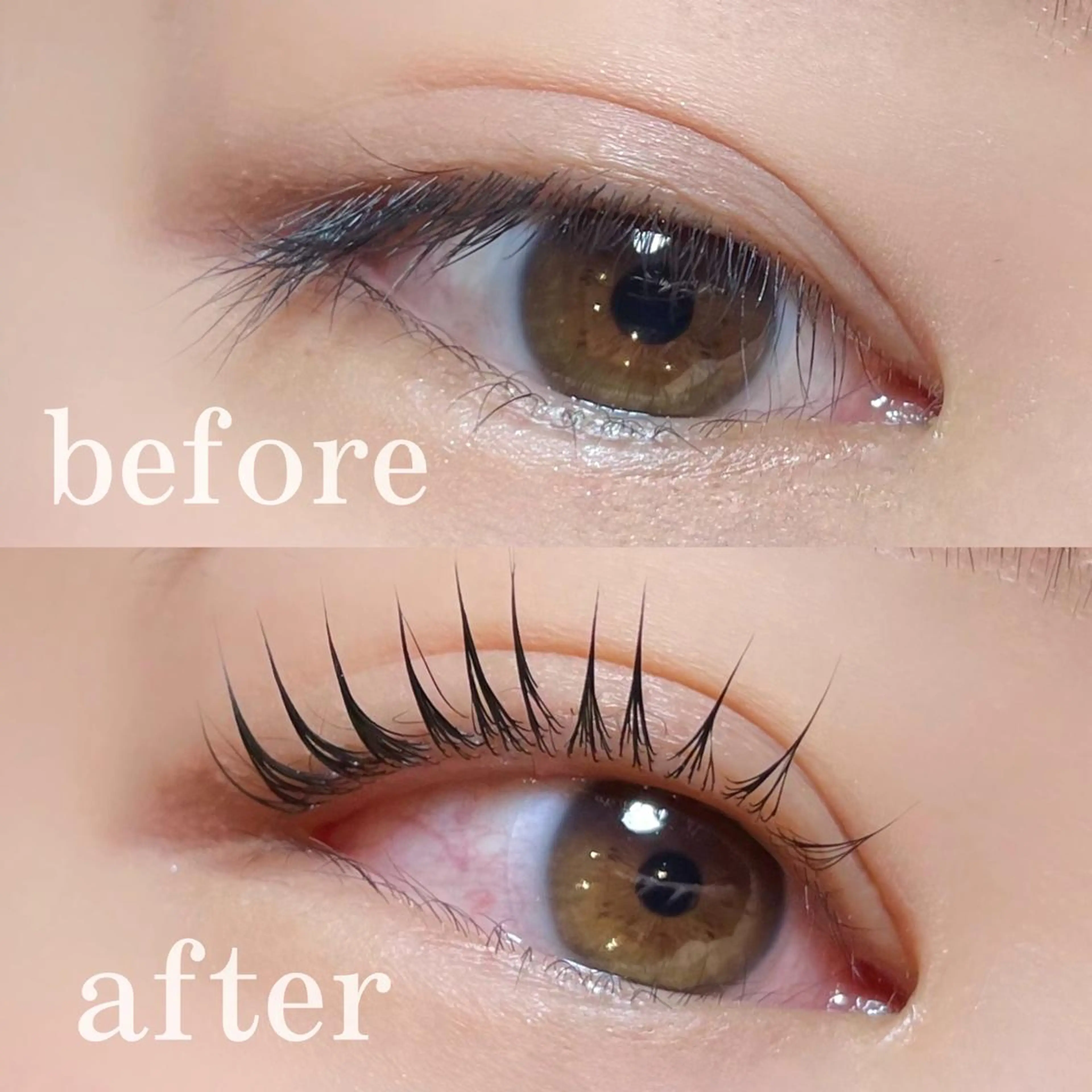 マツエク・マツパ マツパ saki🎀 LED/＆ヘルシーのマツエク・マツパデザイン