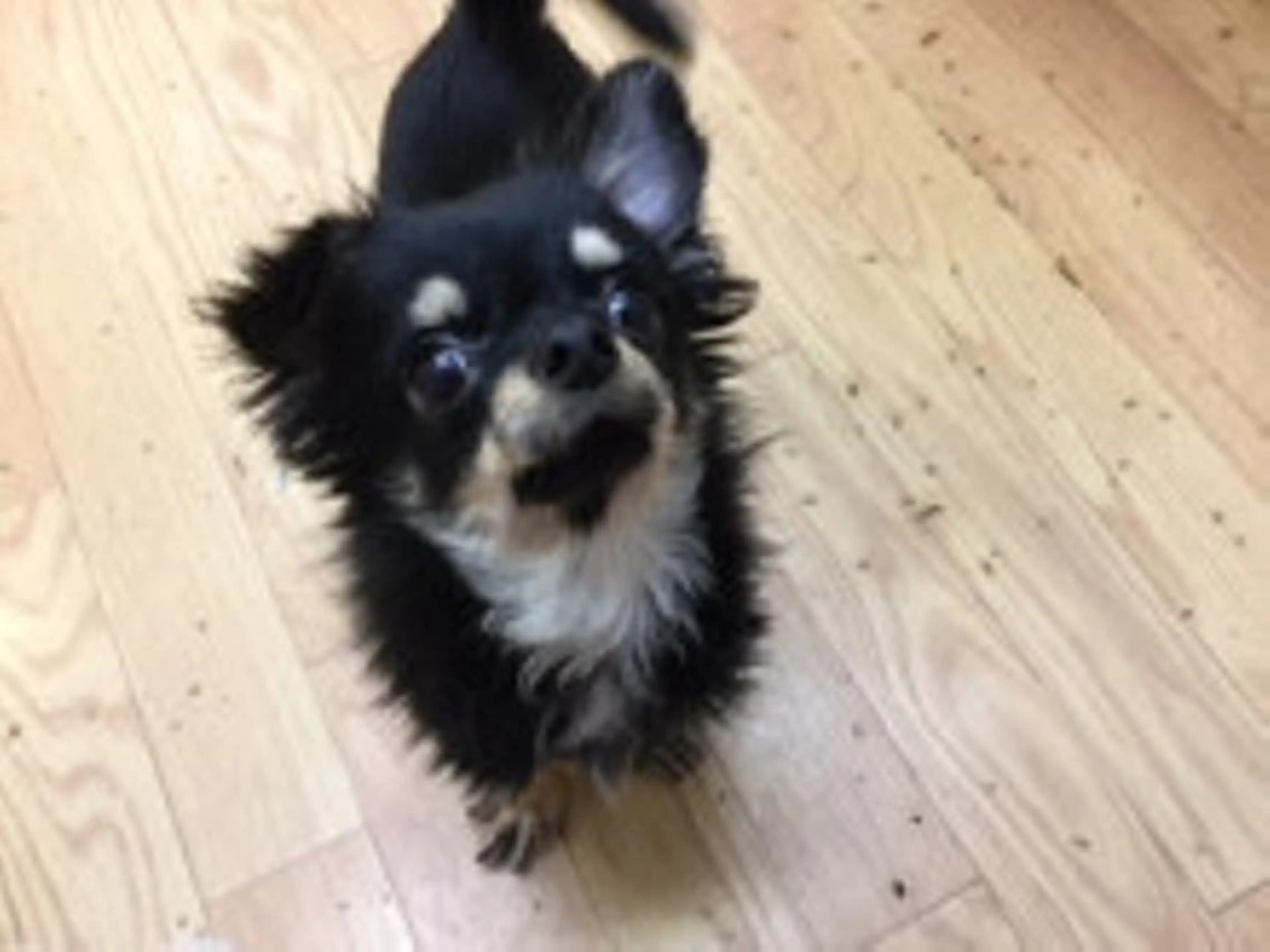 ネイル マツエク・マツパ mayury salonのエステ・リラクイメージ