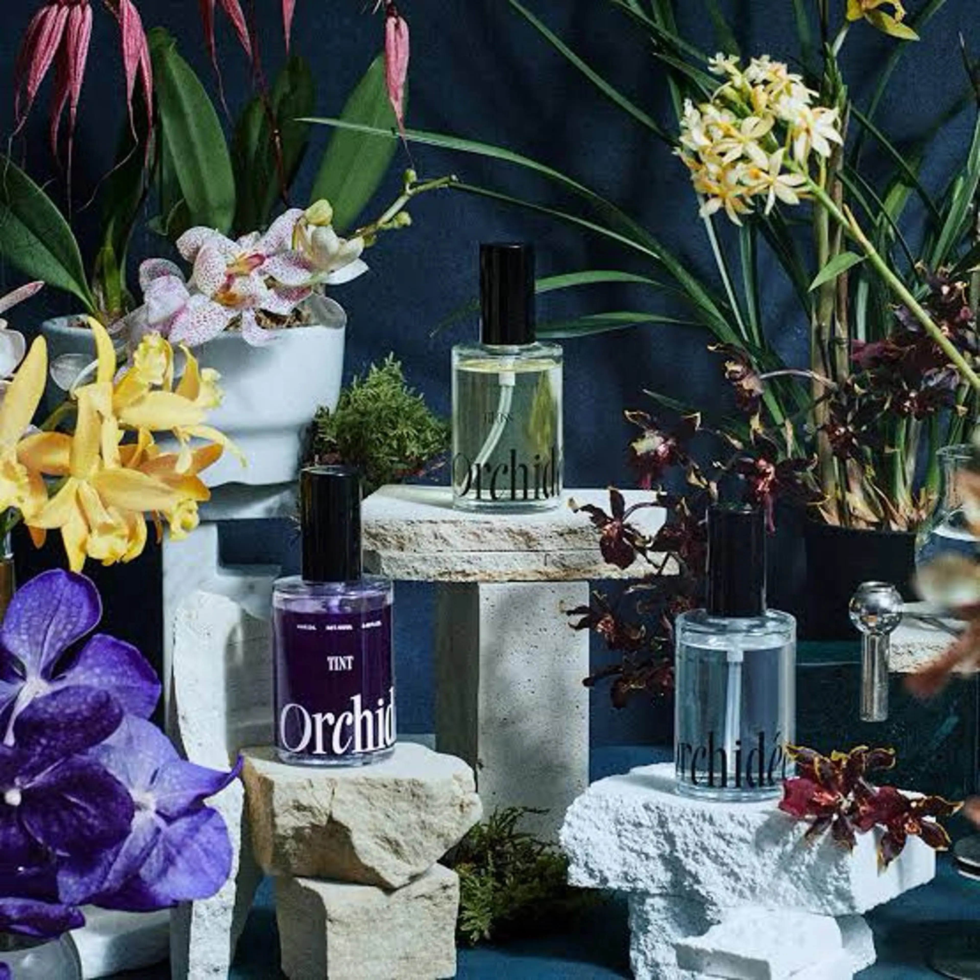 地毛風縮毛矯正 /ニュアンス/はるたのヘアスタイル