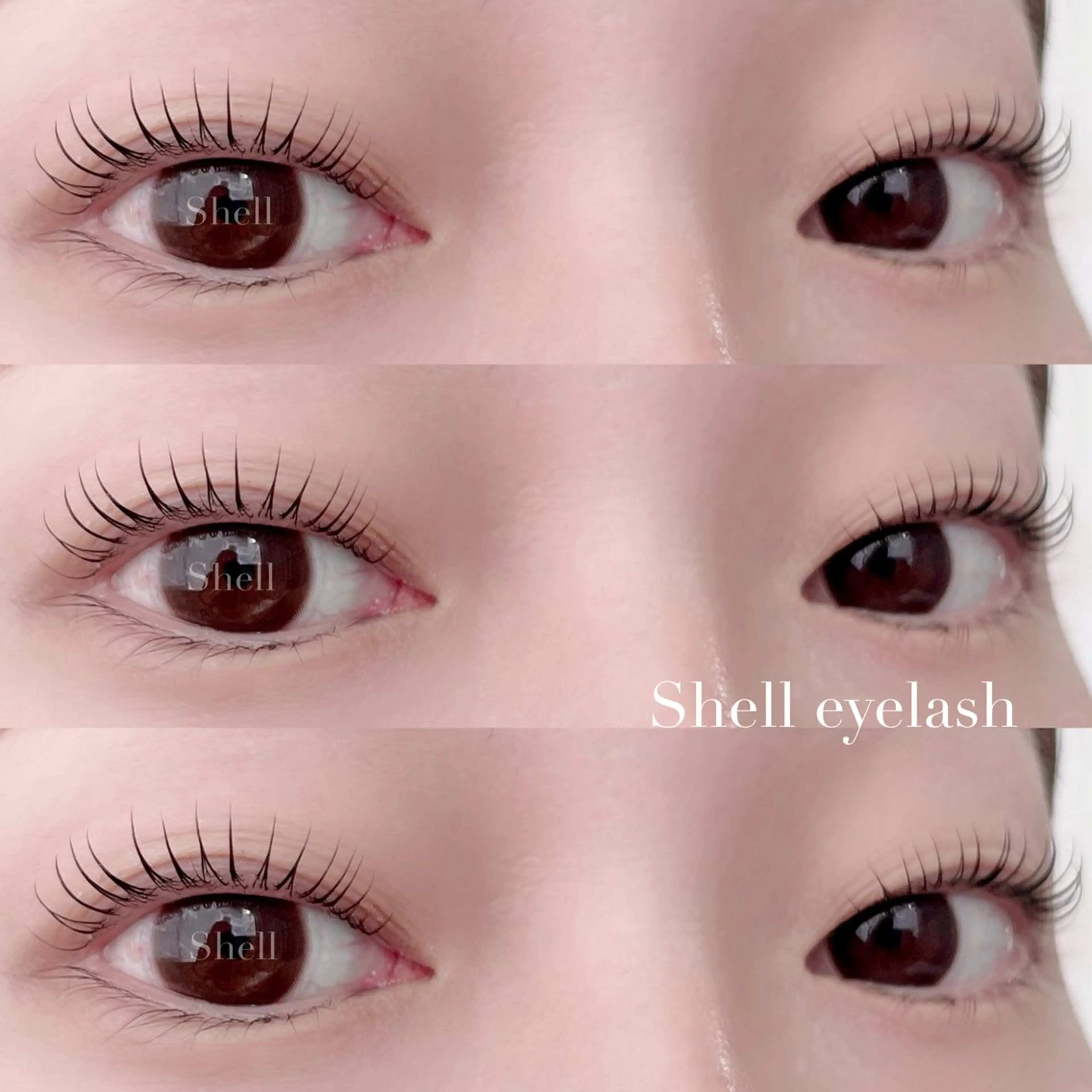 マツエク・マツパ マツパ Shell  eyelash所属・Shell 自由が丘のマツエク・マツパデザイン