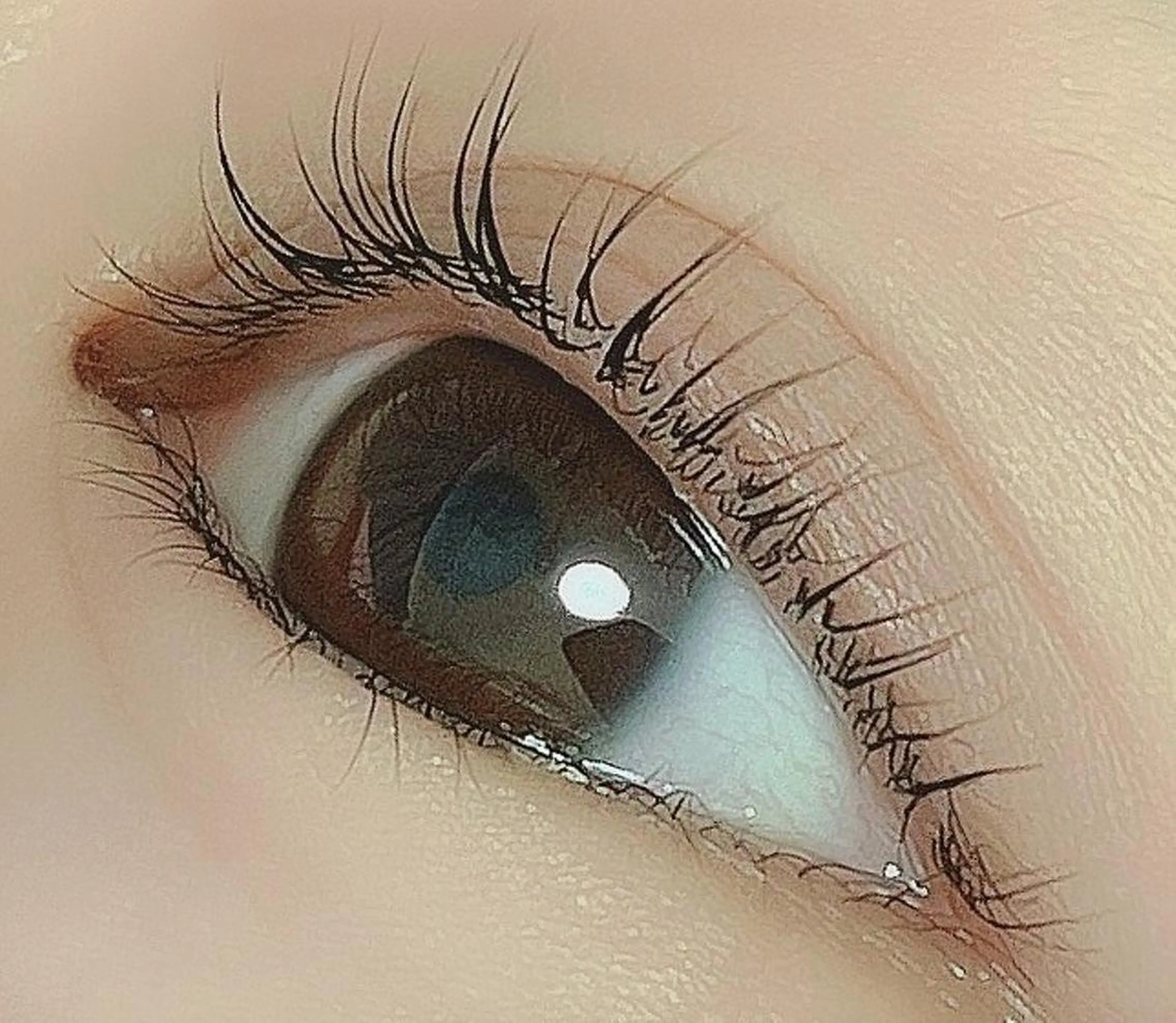 ラッシュリフト☆高配合ダメージ補修＋保湿の写真