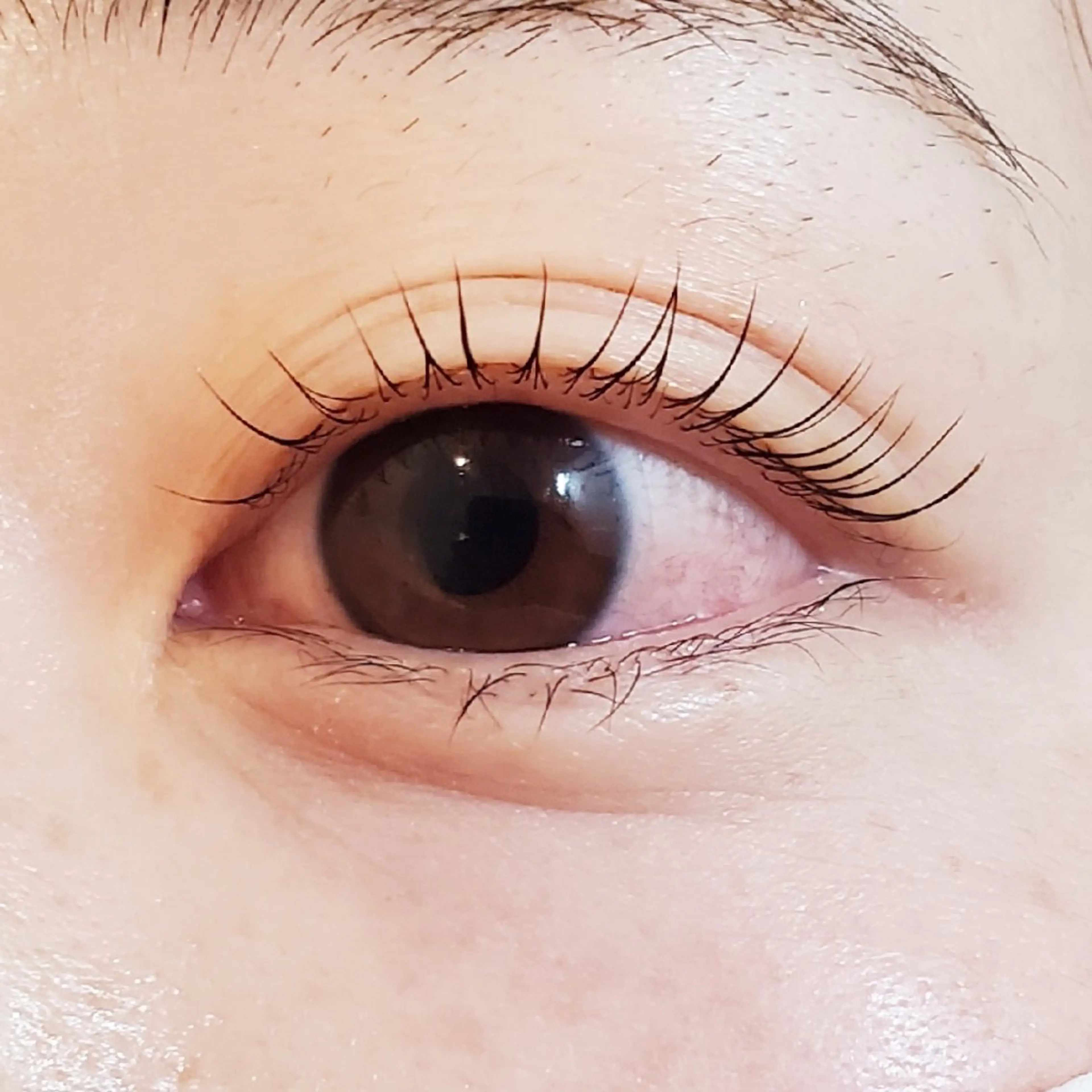 【まつ毛パーマ】ラッシュリフト★トリートメント+1100円~の写真