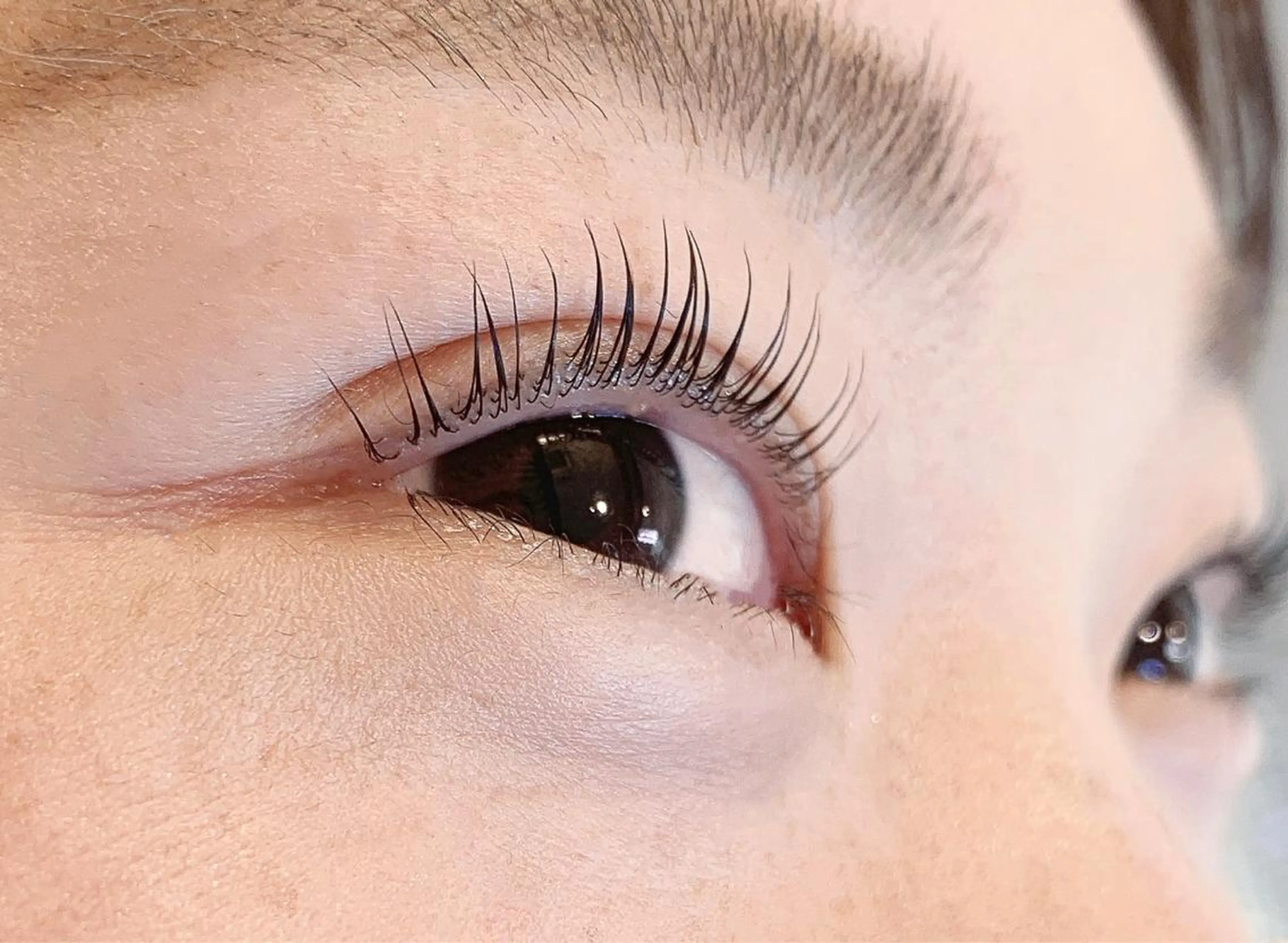 マツエク・マツパ 一重×まつ毛パーマ ロコラッシュ西船橋 佐藤のマツエク・マツパデザイン