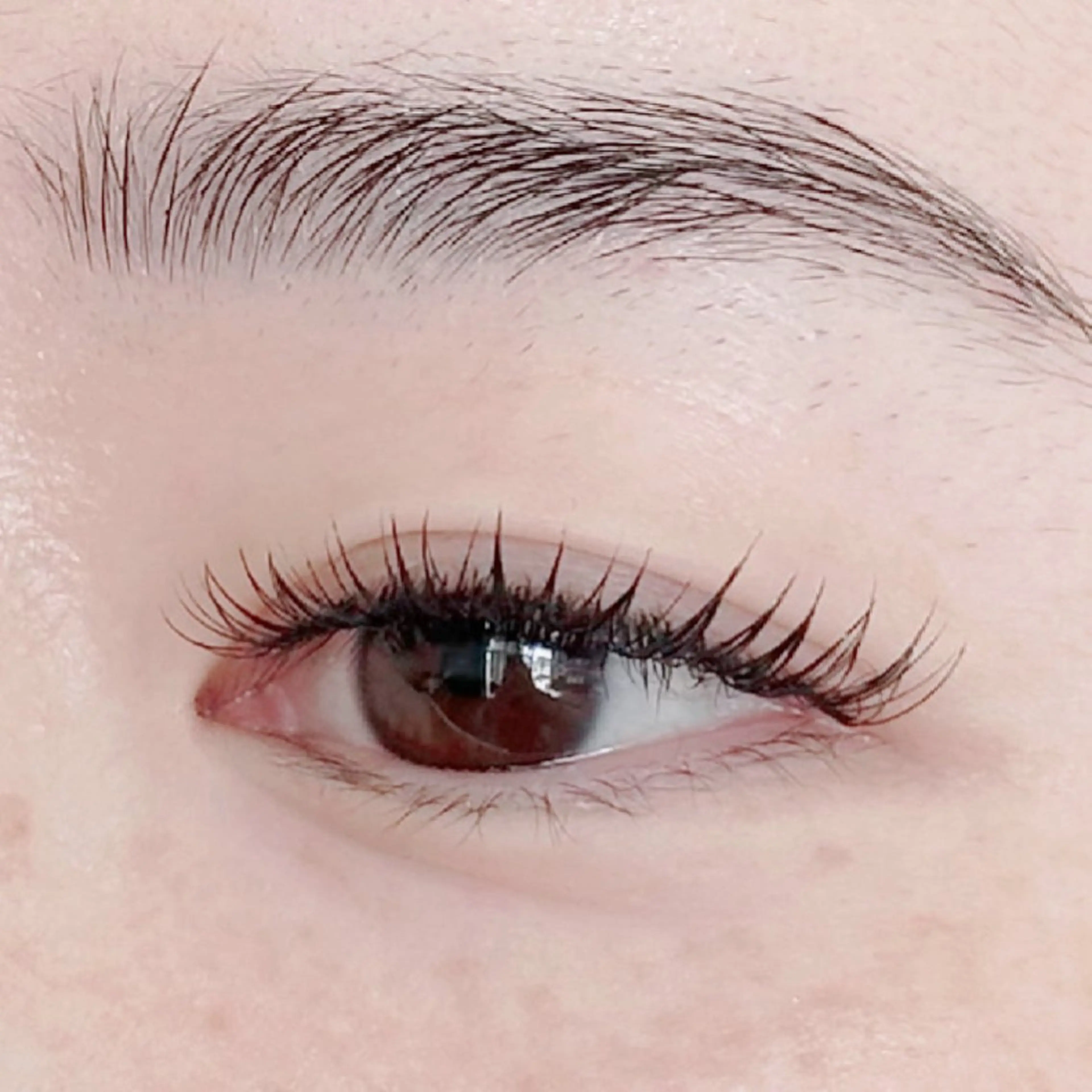 マツエク・マツパ 束感まつ毛 フラットラッシュ PROGRESS 龍ヶ崎 小泉🦋のマツエク・マツパデザイン