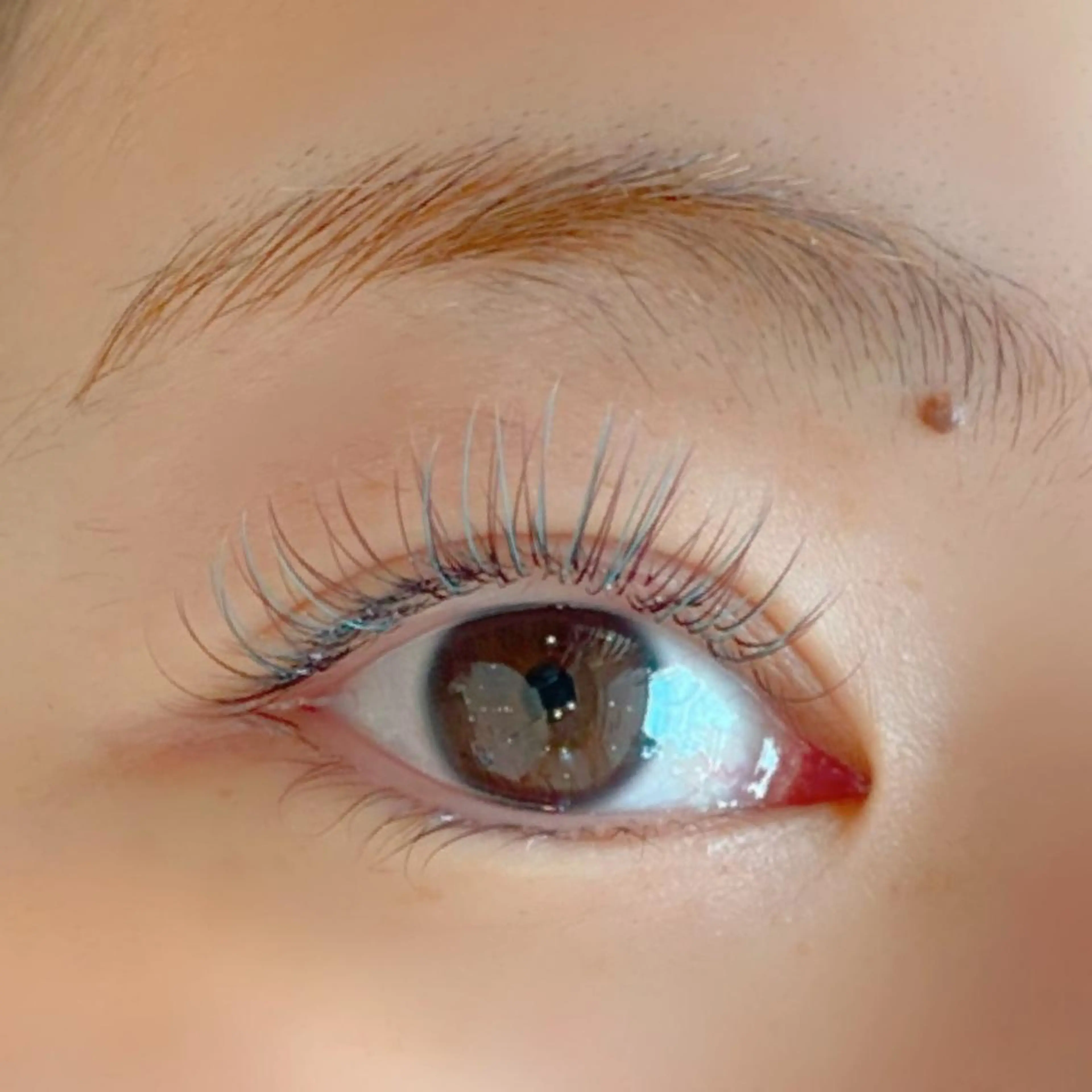 マツエク・マツパ ARLY'S 🫟LED専門店のエステ・リラクイメージ