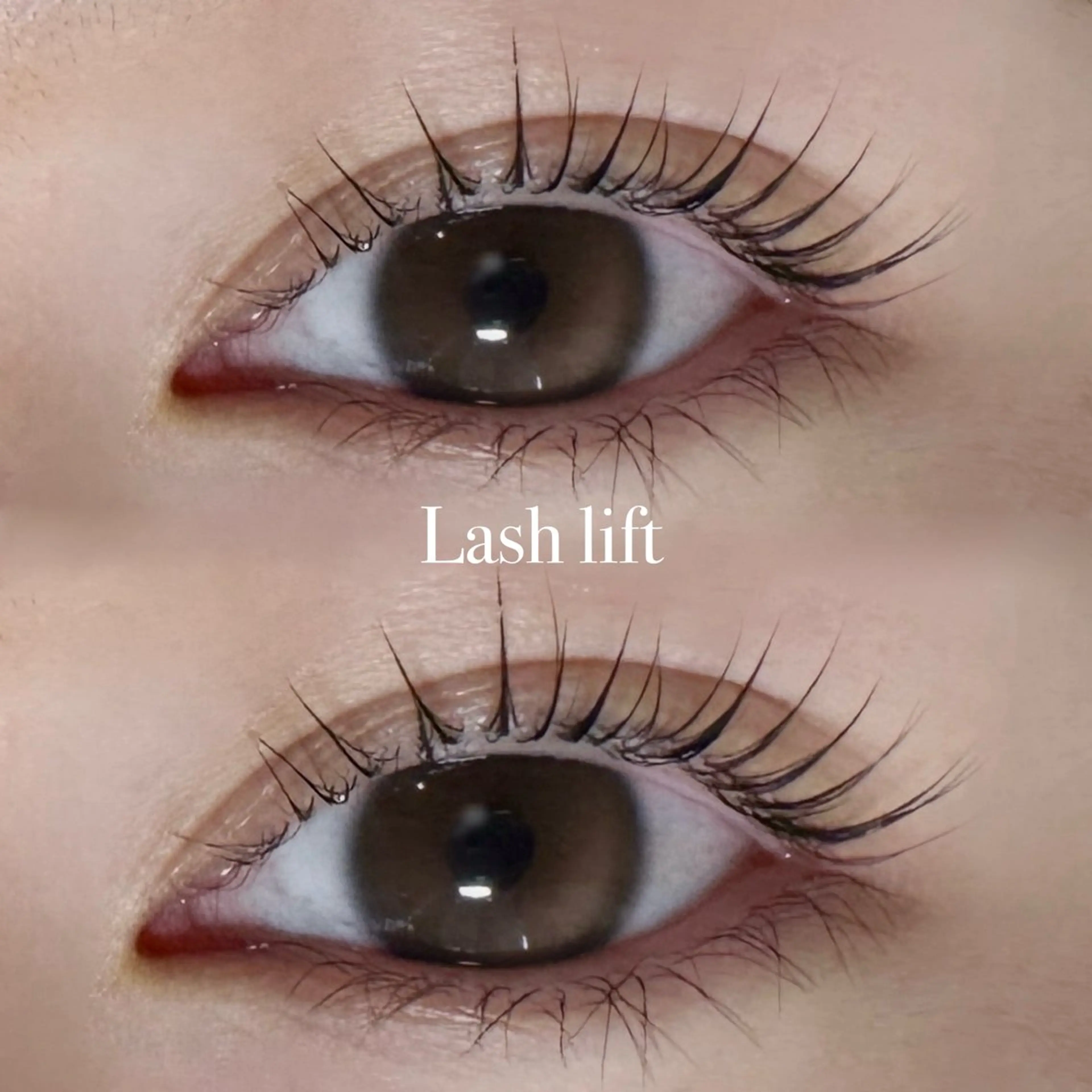 【人気No.1】HBL＋まつ毛パーマ🩰🪞¥6,800の写真