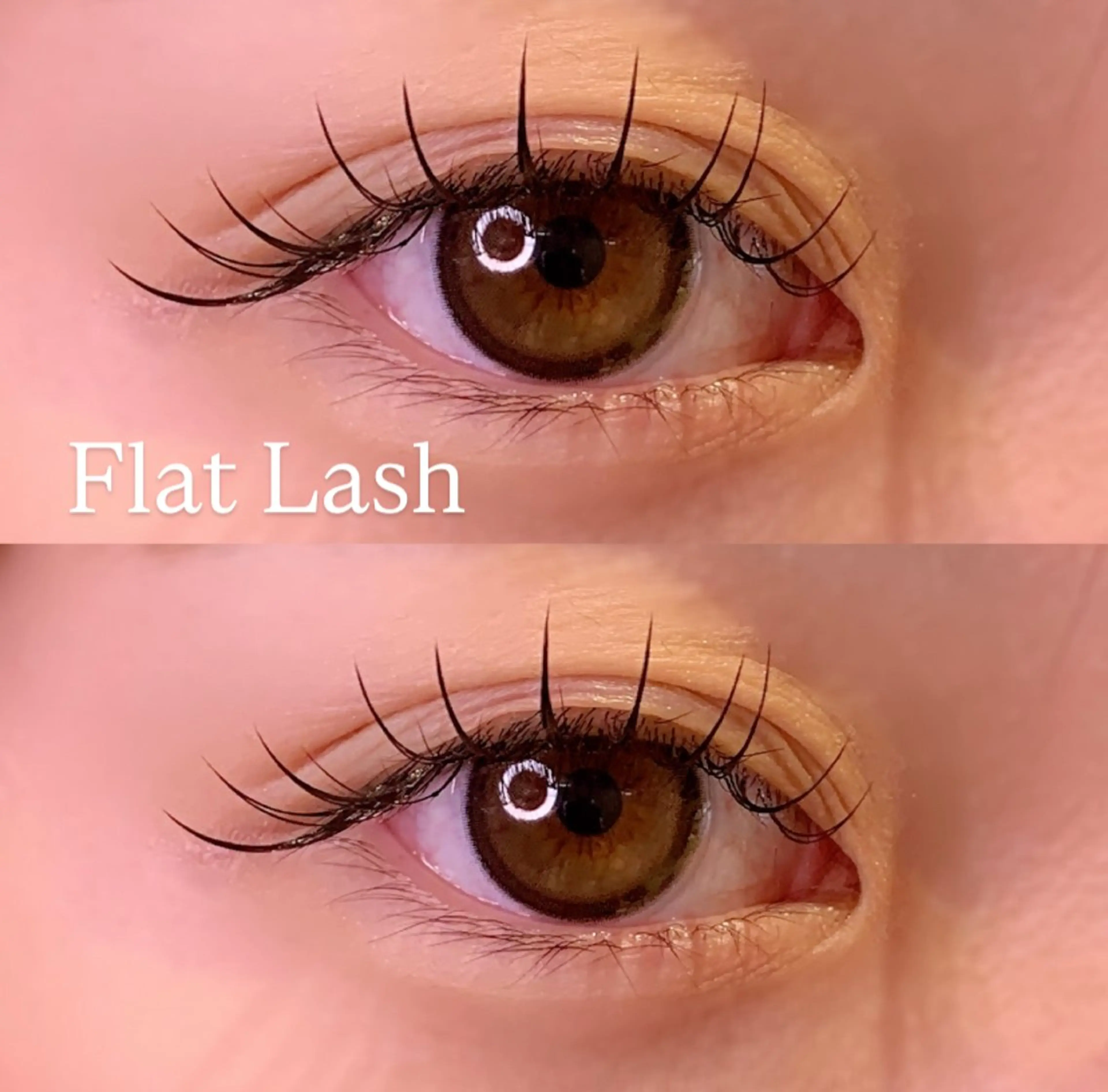 マツエク・マツパ Cカール Dカール フラットラッシュ Jカール マツエク Ayumi.pro 🍆N《4階》のマツエク・マツパデザイン