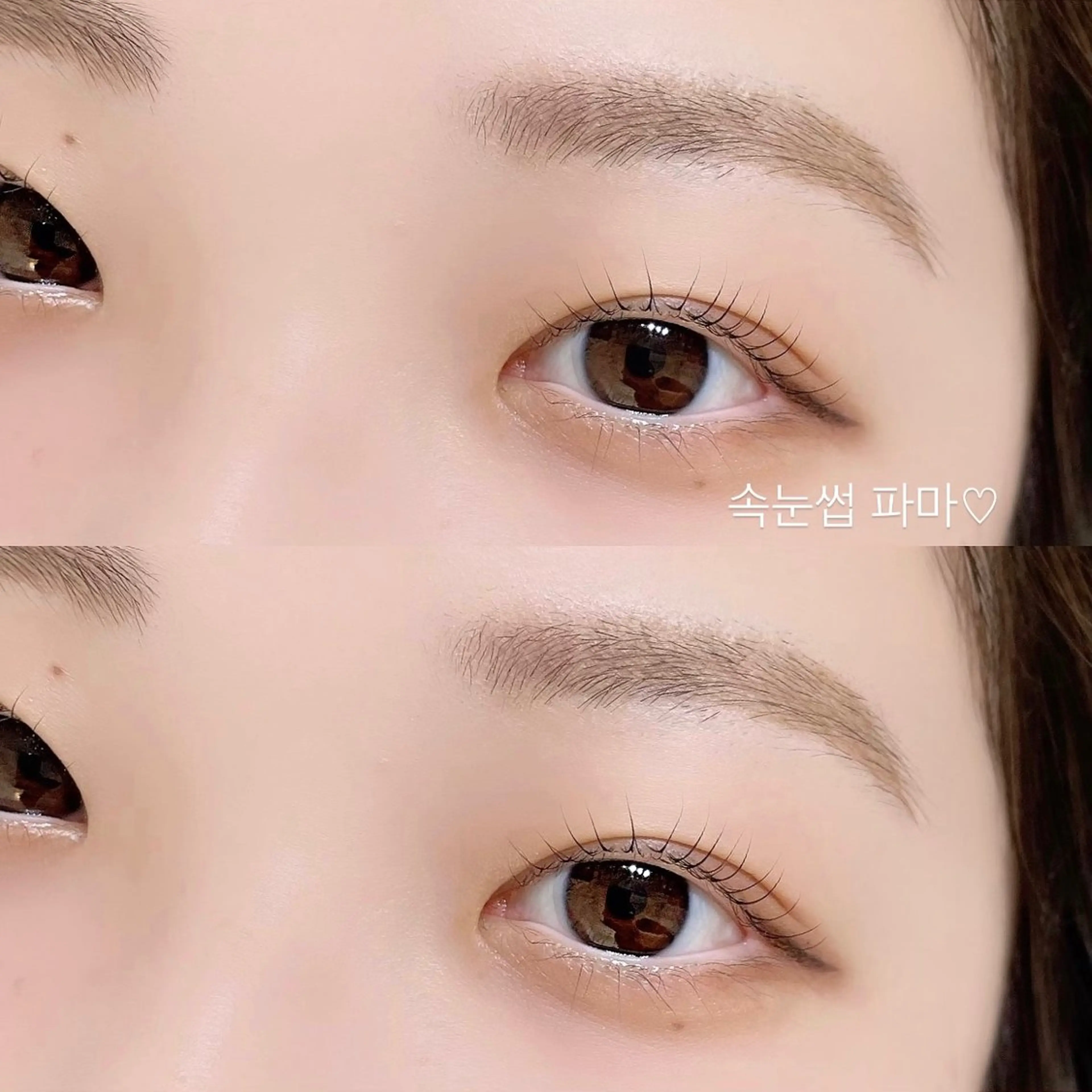 ✨リピーター様限定✨:まつ毛パーマ.パリジェンヌ+眉毛WAXスタイリング(コーティング.内部補修トリートメント付き)の写真