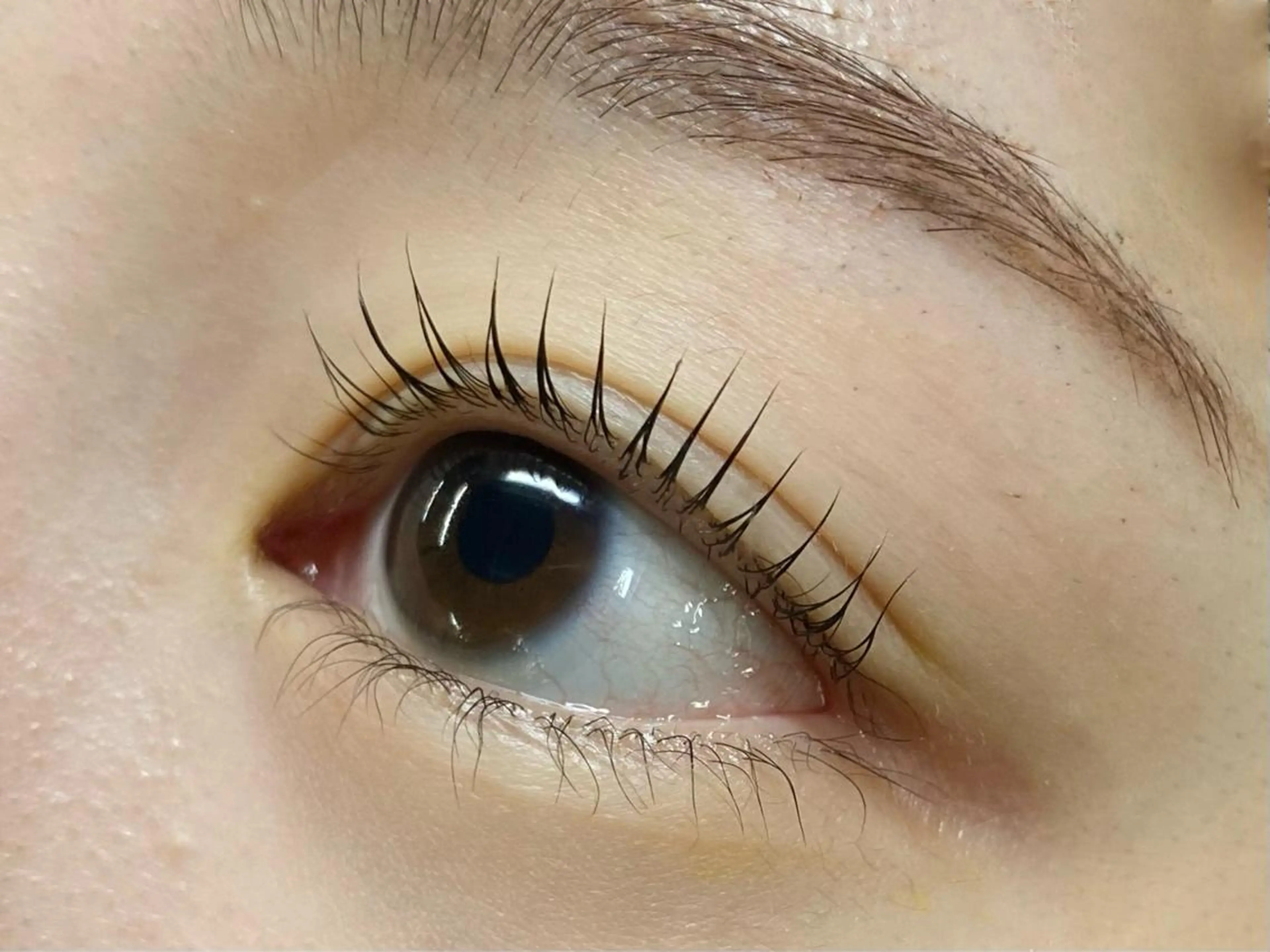 マツエク・マツパ パリジェンヌラッシュリフト EYELIST AYUのマツエク・マツパデザイン