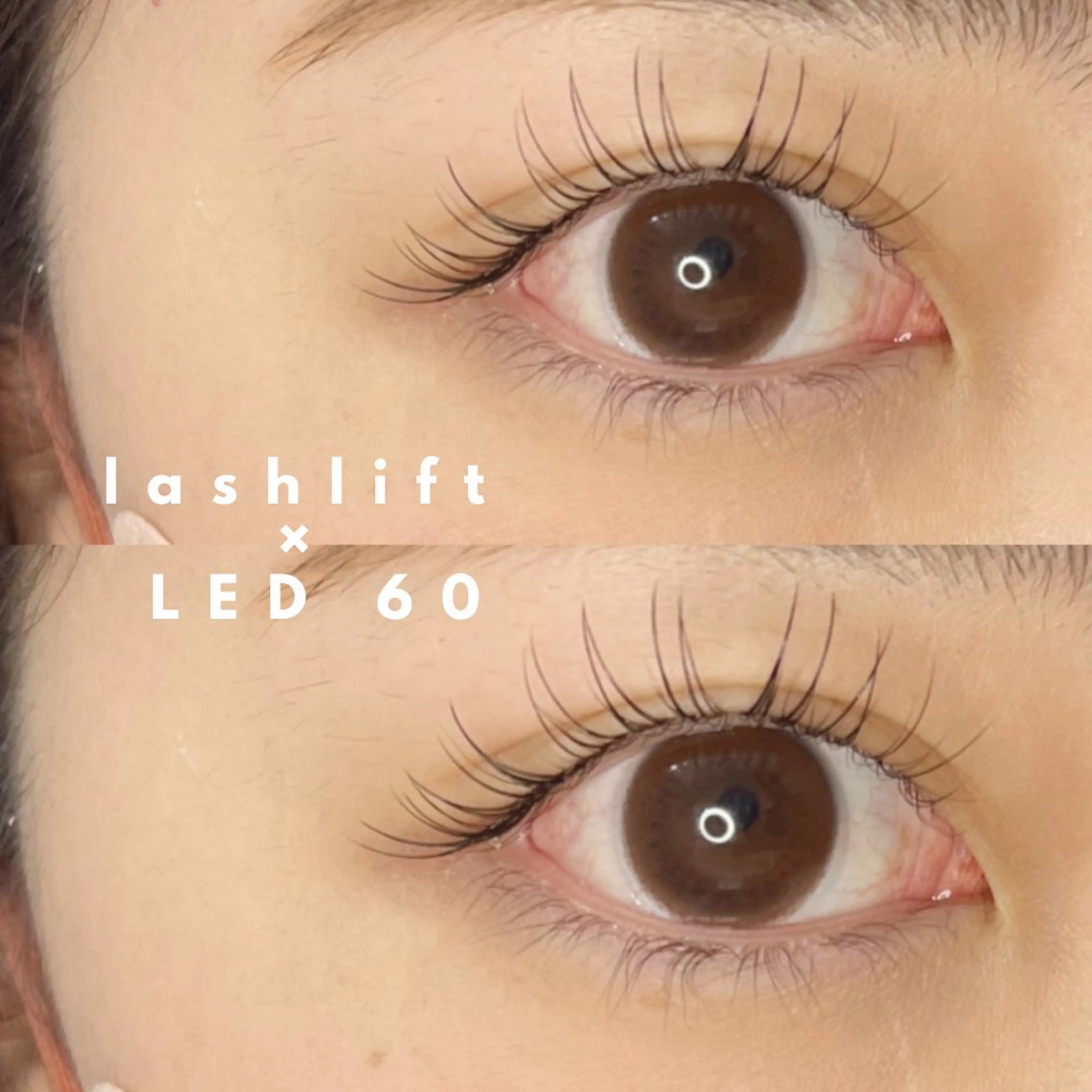 マツエク・マツパ 《eyelash ｉｉｔｅ》森のマツエク・マツパデザイン