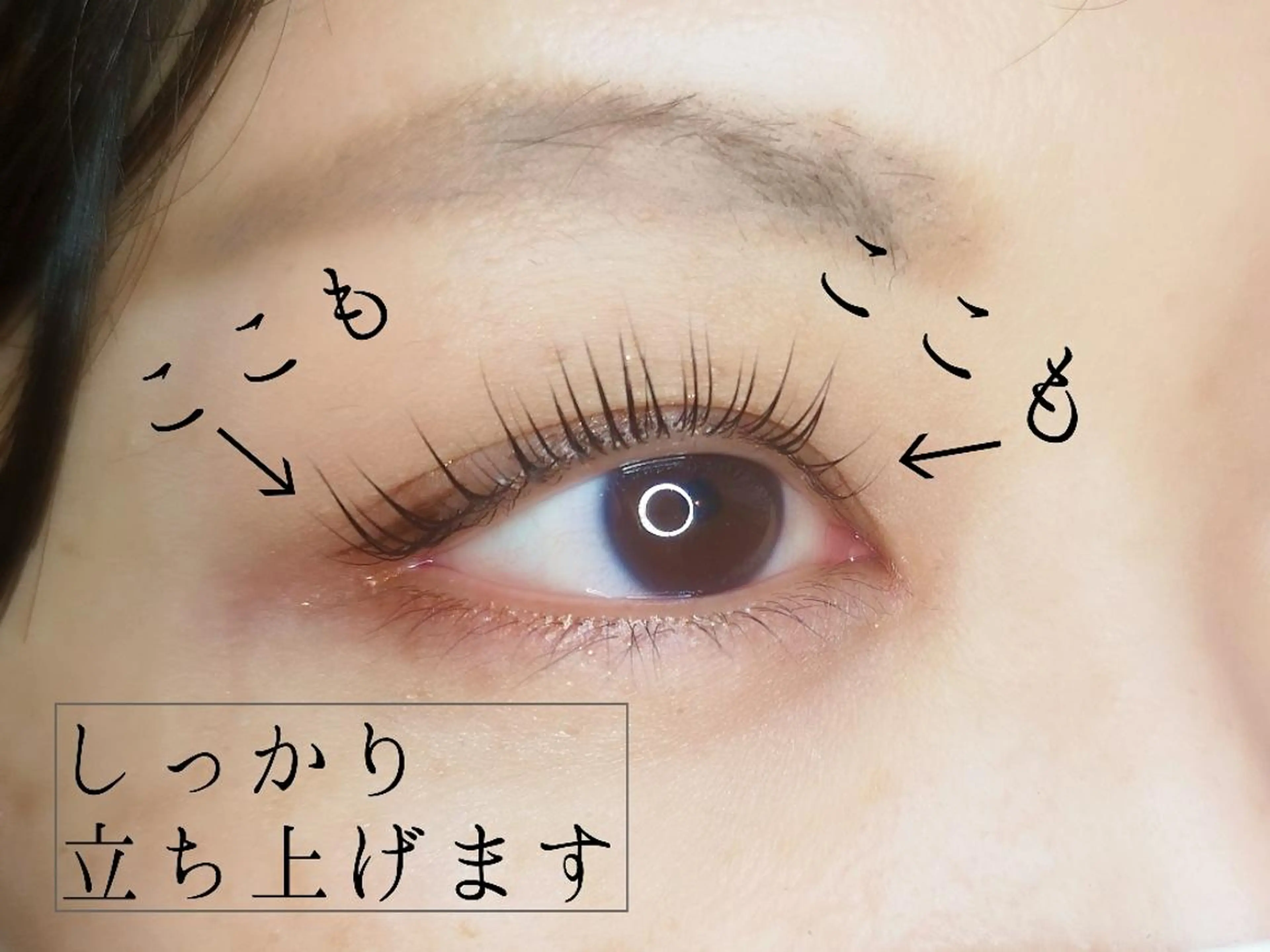 マツエク・マツパ lev. shioriのマツエク・マツパデザイン