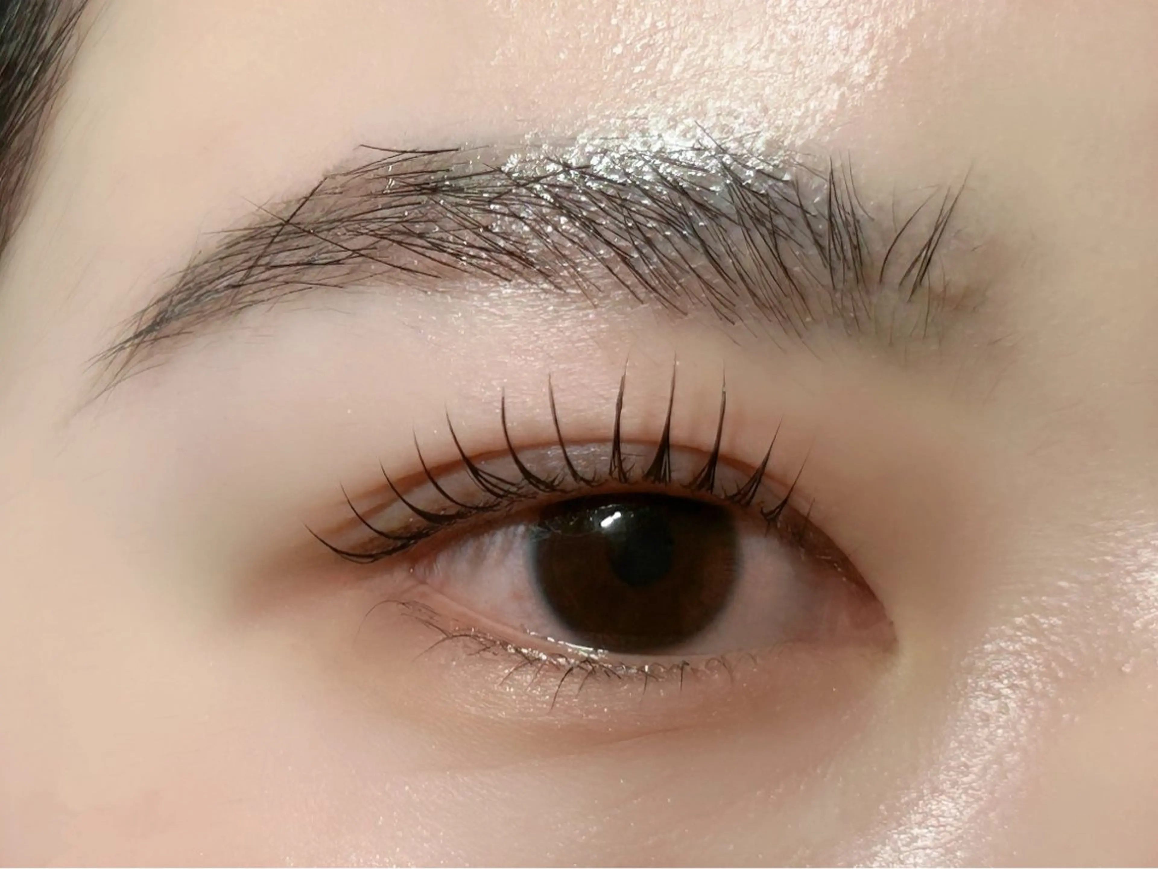 🌸リピーター様🌸ケラチントリートメント付き✨ 似合わせまつ毛パーマ・パリジェンヌラッシュリフト(コーティング付き）の写真