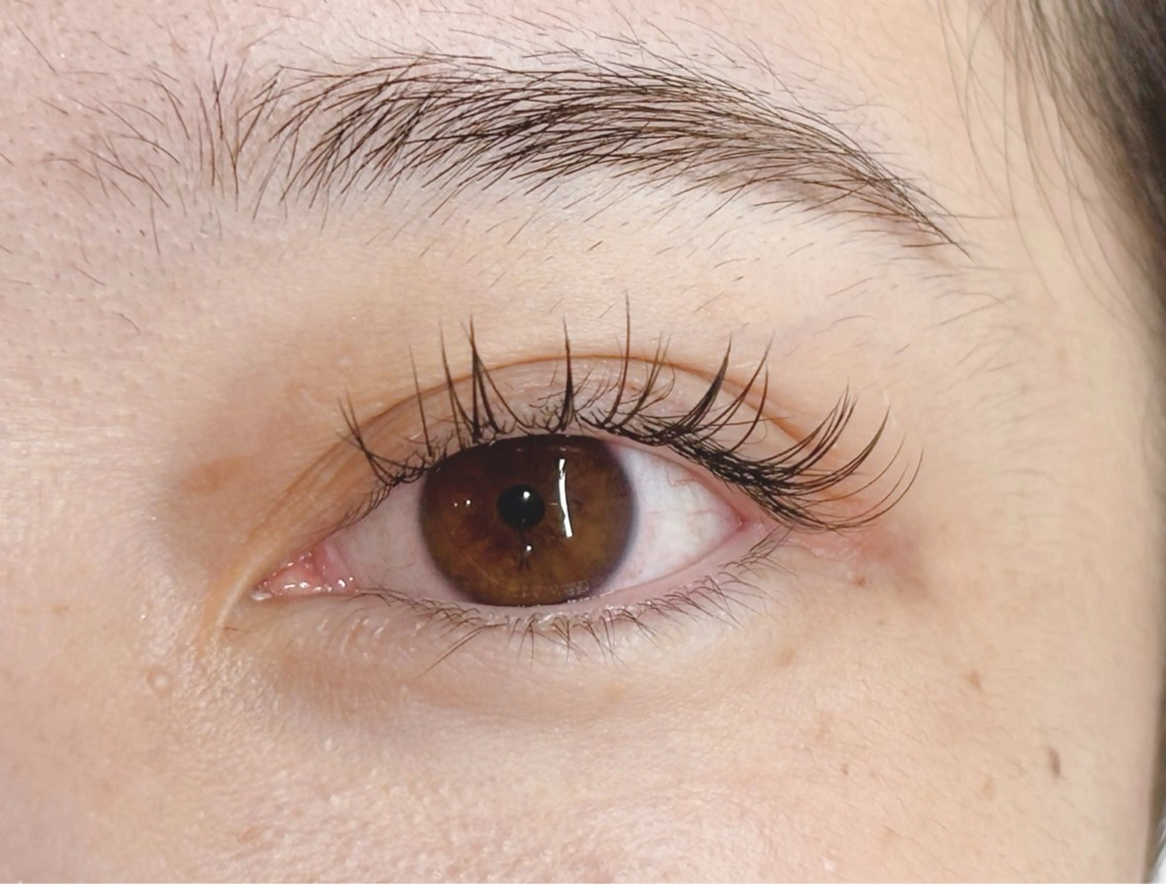 マツエク・マツパ フラットラッシュ mallow🤍 sakiのマツエク・マツパデザイン