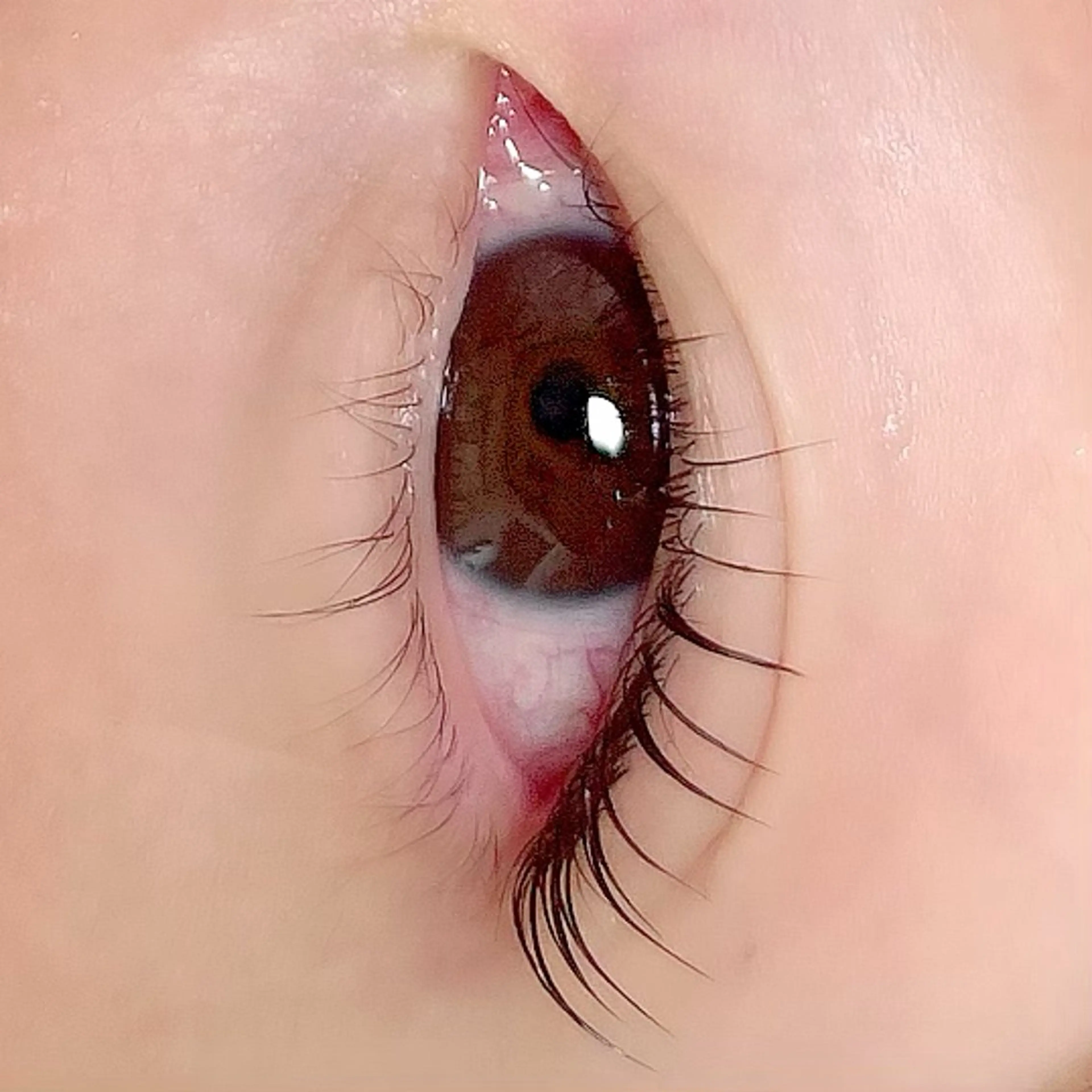 【平日限定】💖ラッシュリフト/まつ毛パーマ➕小鼻WAX（鼻周り、角栓除去）💖現金支払いのみの写真