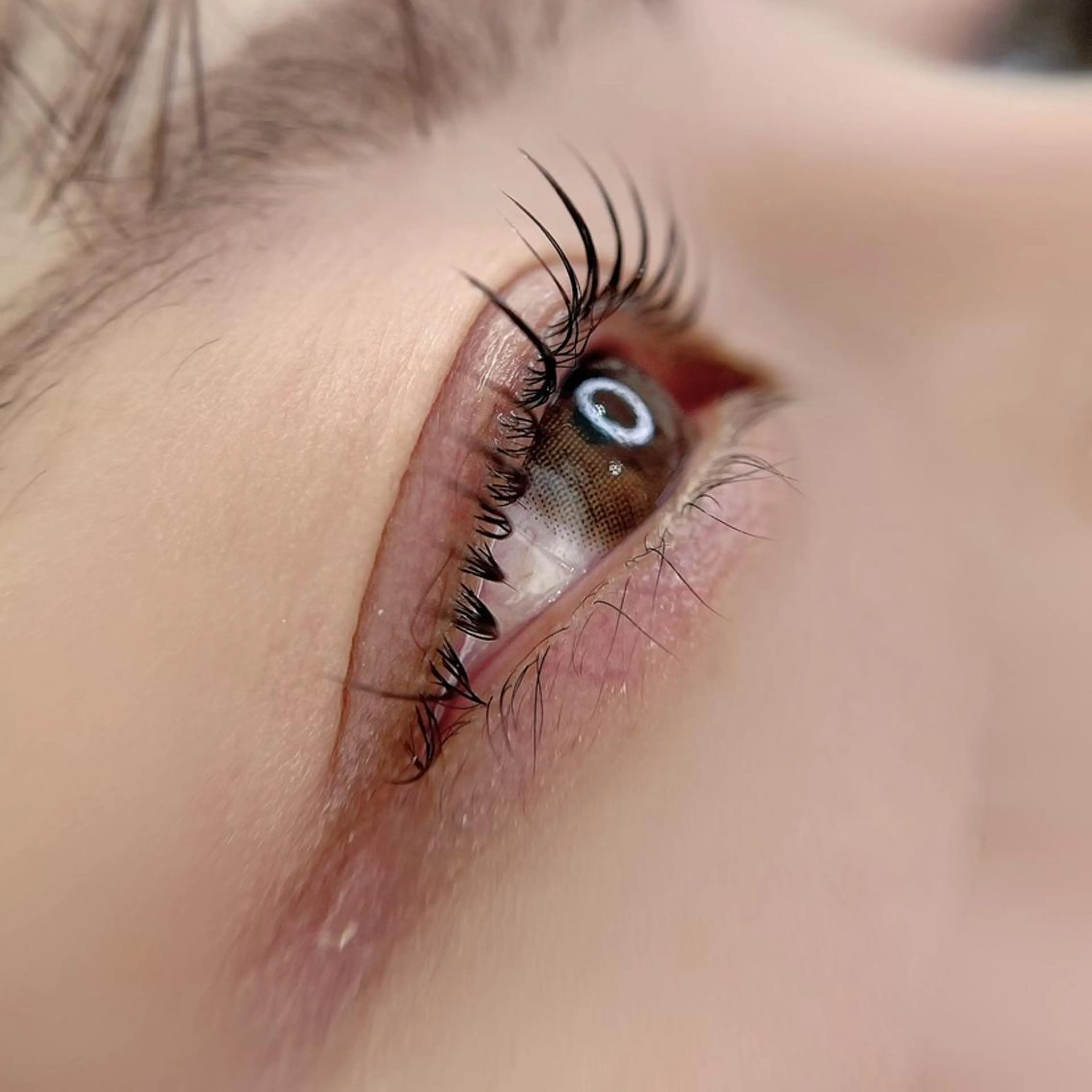 マツエク・マツパ ecru. eyelashのマツエク・マツパデザイン