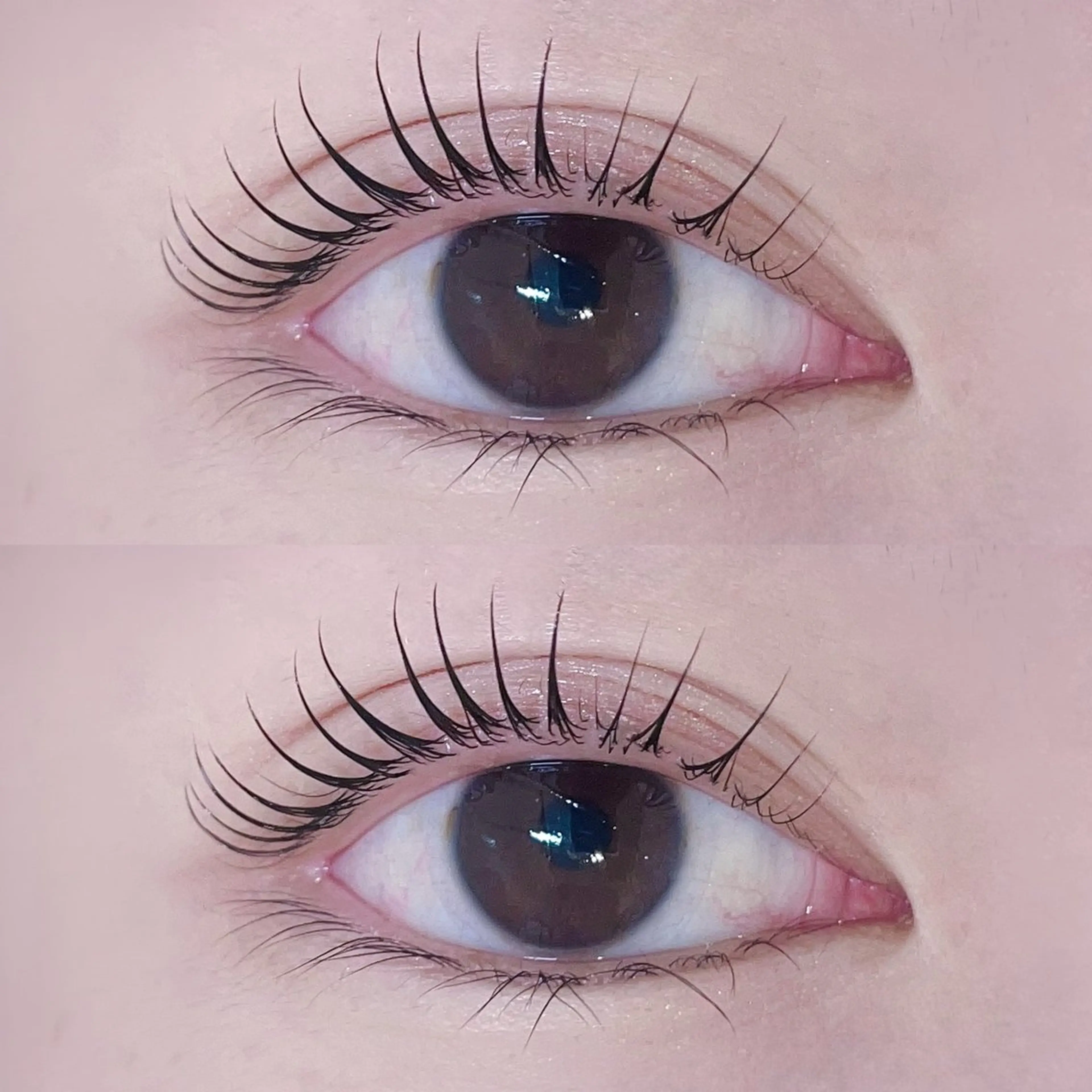 マツエク・マツパ マツパ 🎀束感/LEDエク Hibiki🎀のマツエク・マツパデザイン