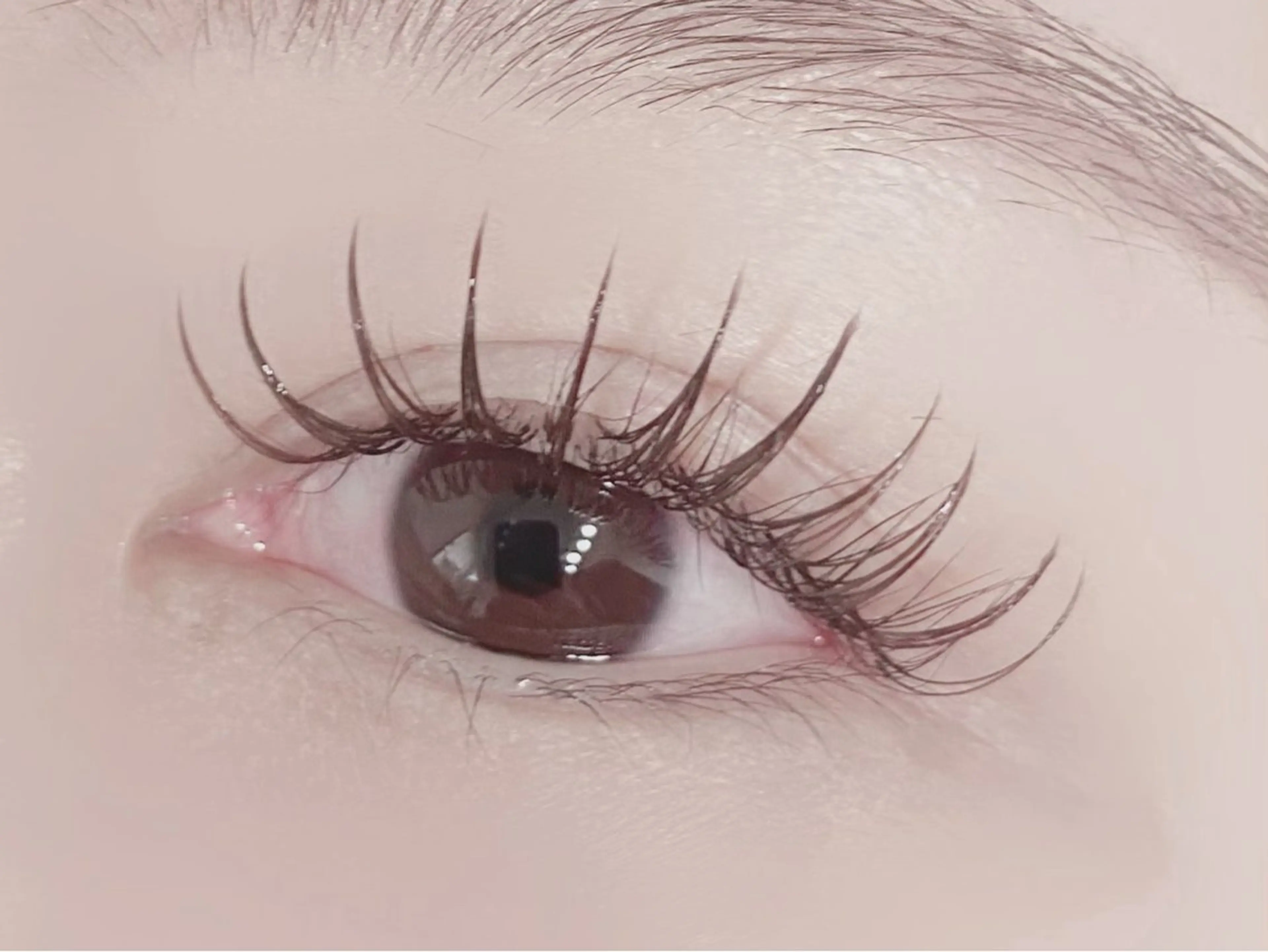 マツエク・マツパ フラットラッシュ マツエク 💎マツエク/眉毛 パリジェンヌ渋谷💎の眉毛・アイブロウイメージ