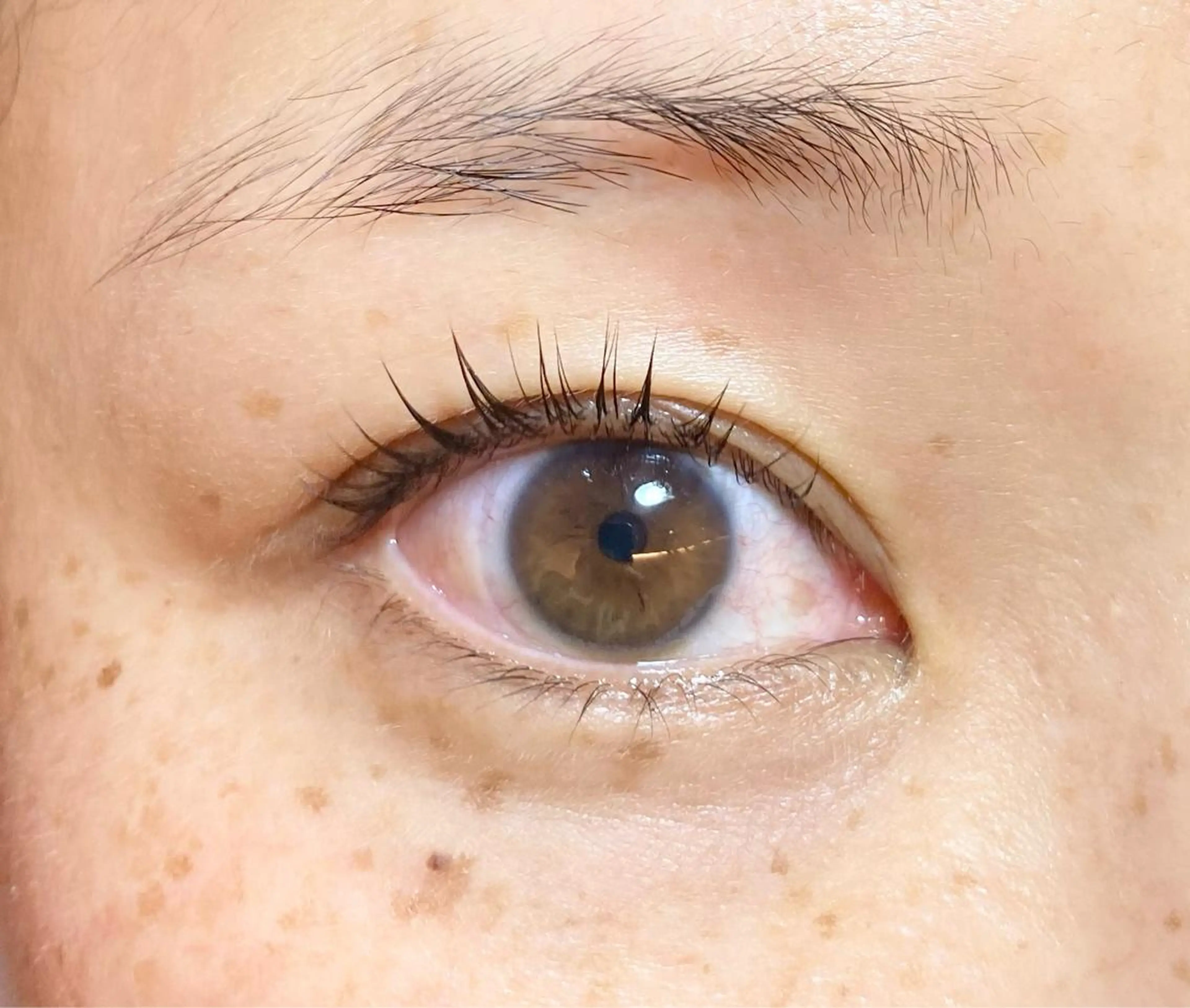 キッズ マツエク・マツパ パリジェンヌラッシュリフト sola: neolive出沼のマツエク・マツパデザイン