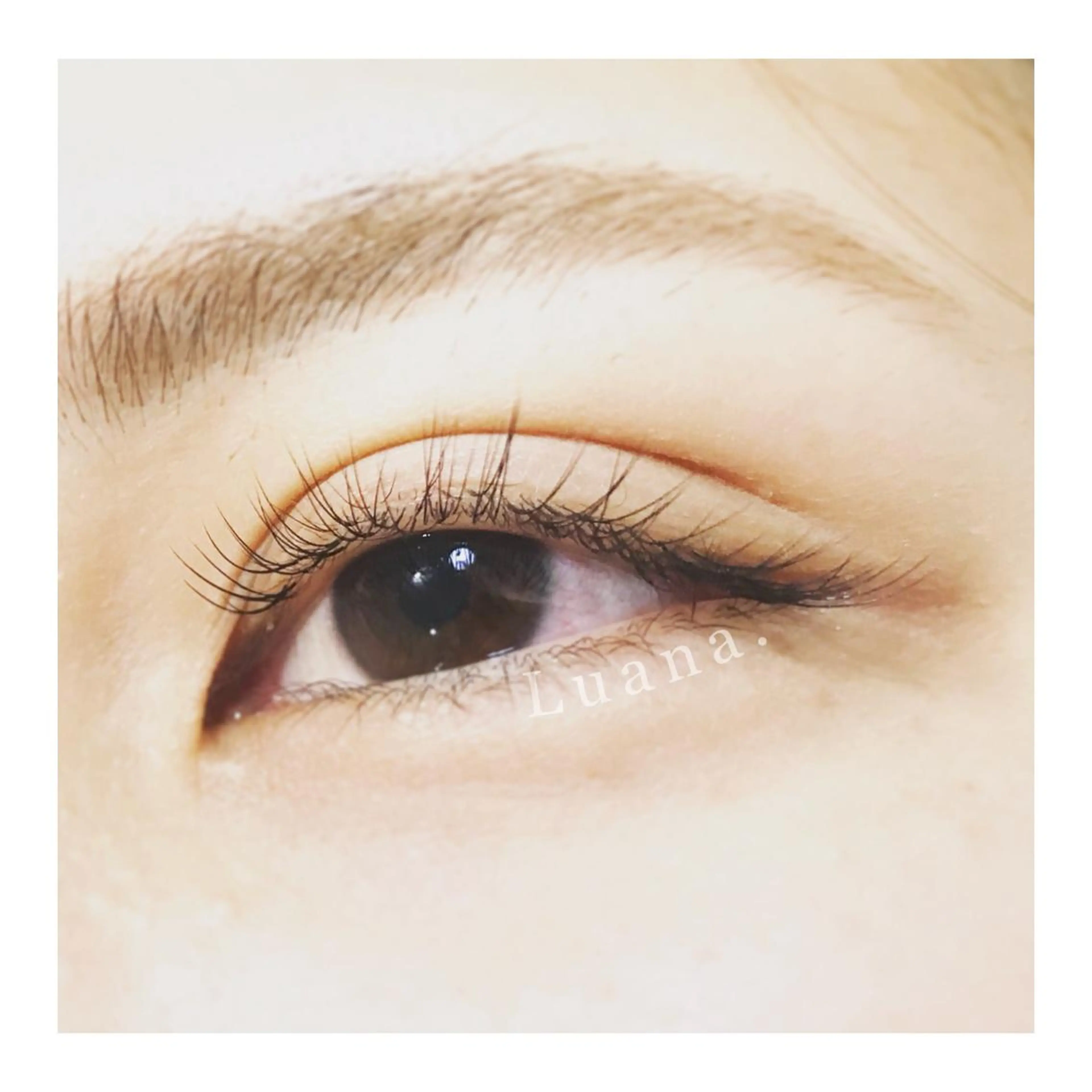 マツエク・マツパ Bカール ナチュラル セーブル にっくに ちひろの眉毛・アイブロウイメージ