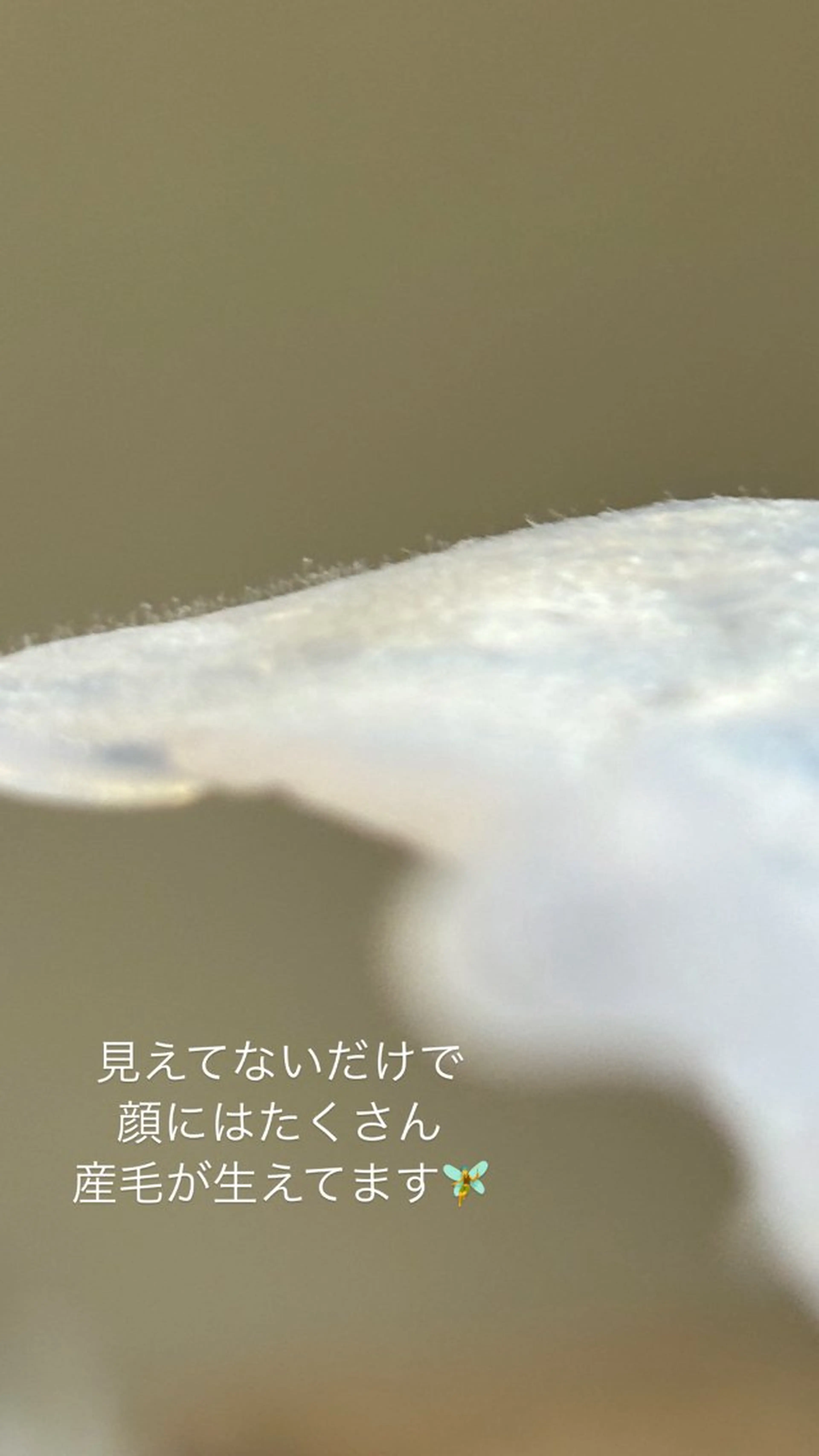 COCO所属・木村 千広のその他イメージ