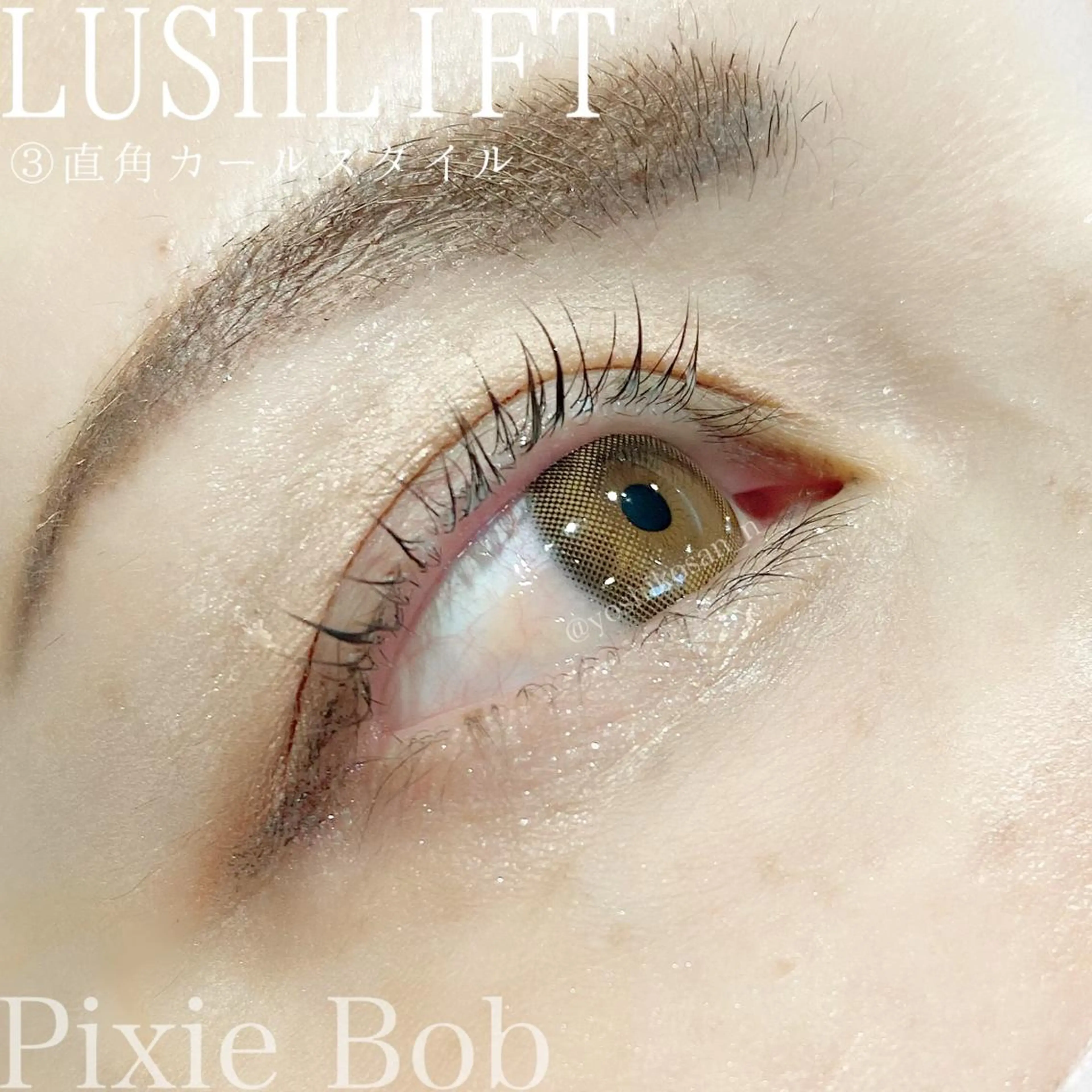 マツエク・マツパ カラーマツエク Pixie Bob 🐈‍⬛　位田のマツエク・マツパデザイン