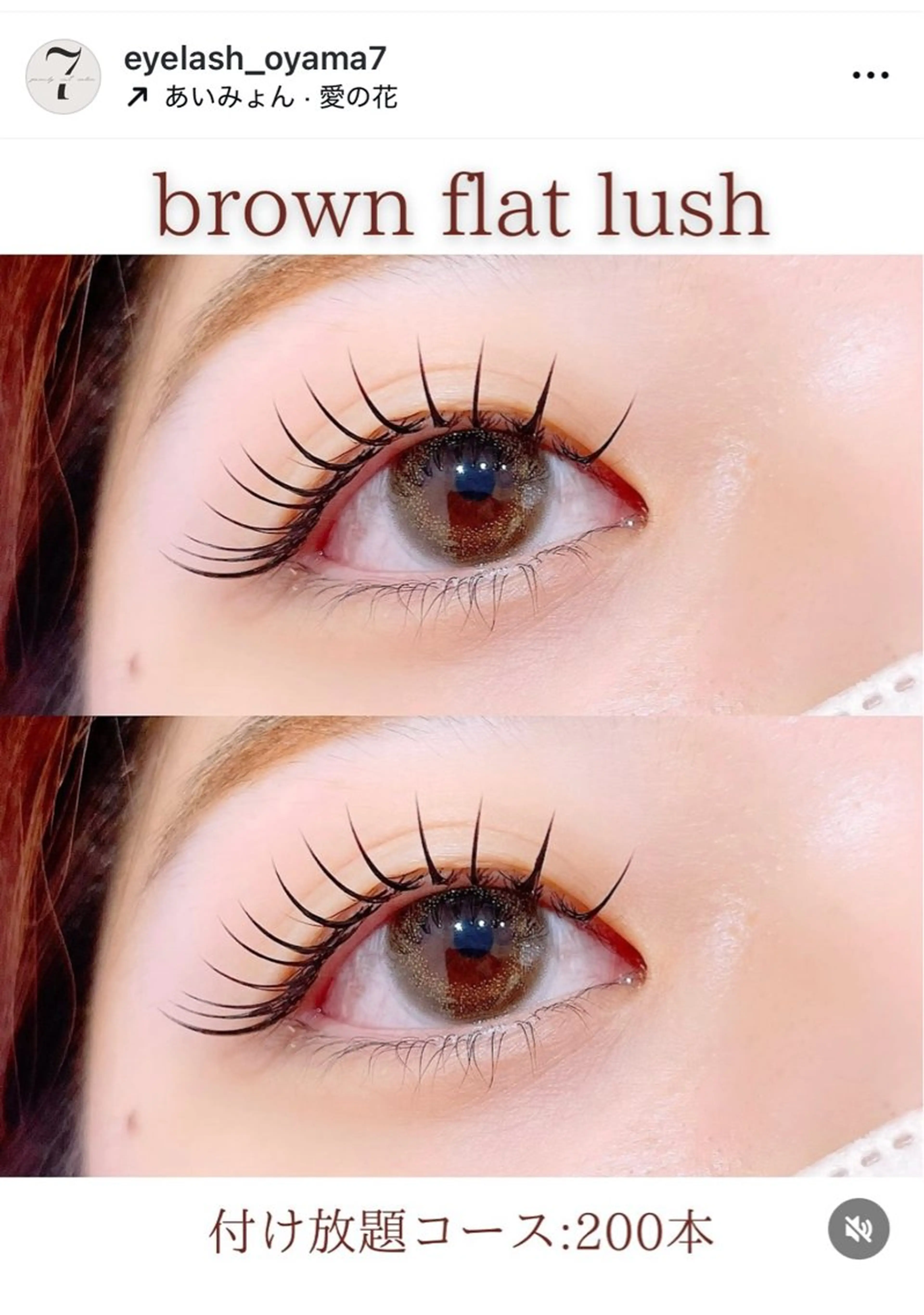 付け放題　　130本以上の写真