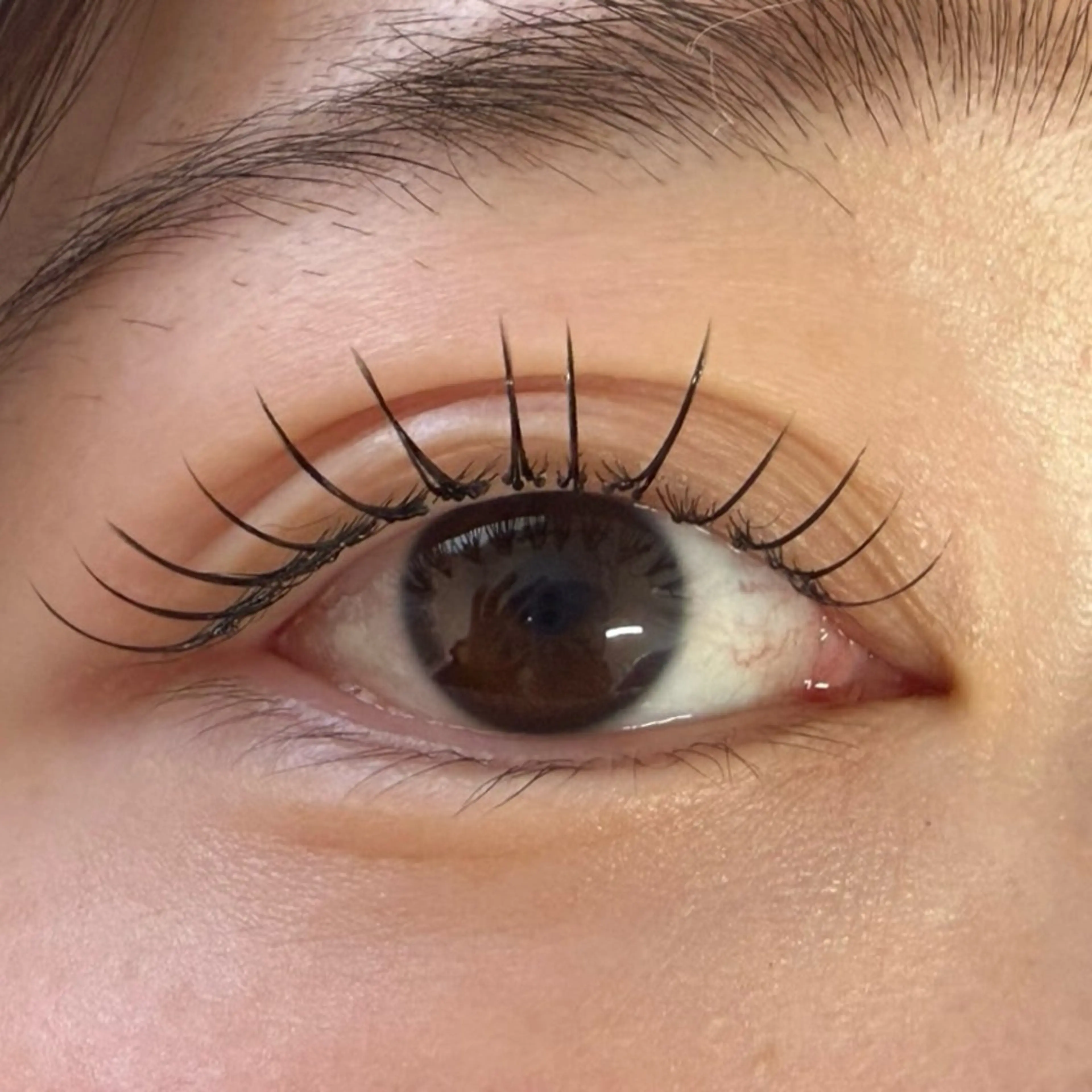 🌸特別価格🌸最新次世代まつ毛パーマ上下+コーティング付きの写真