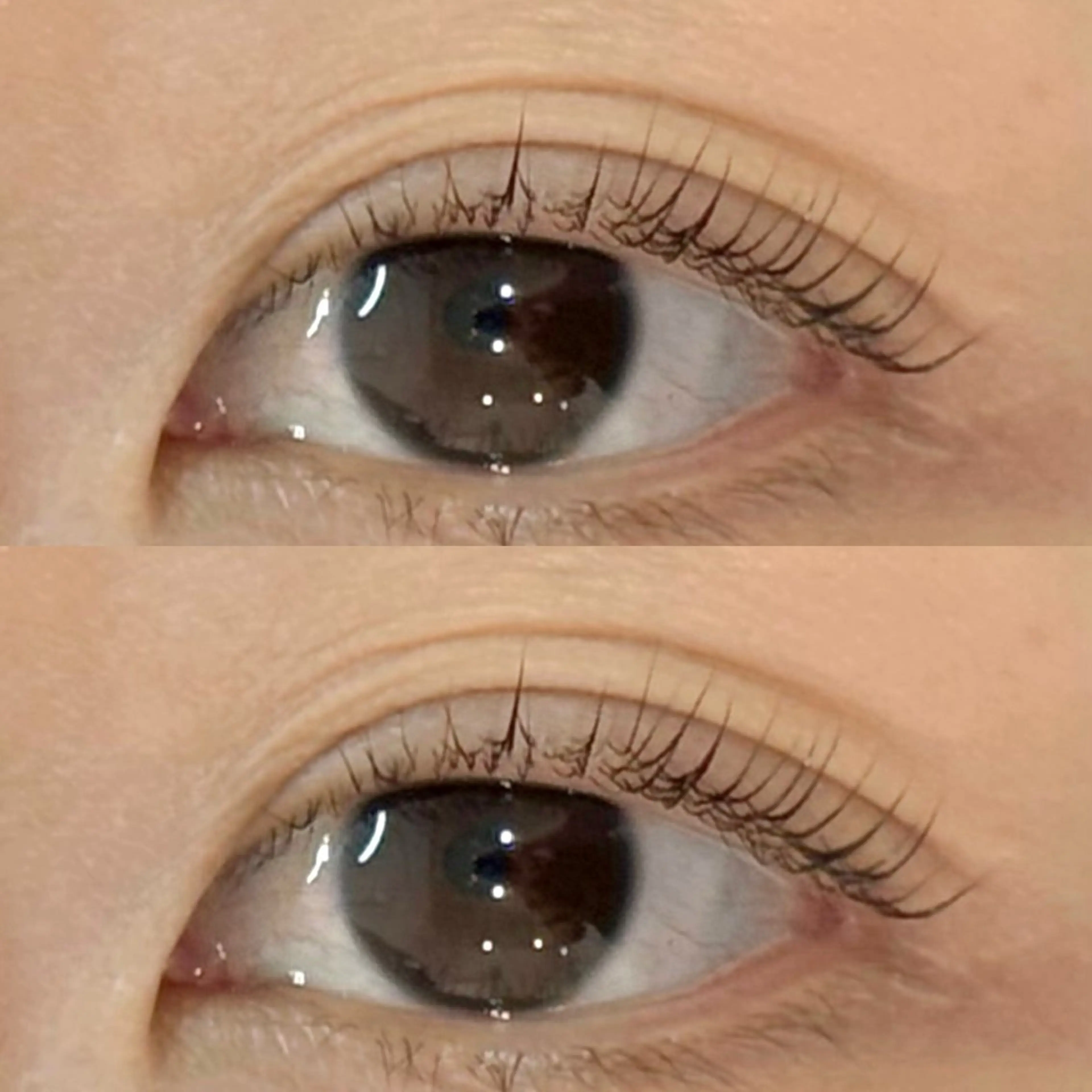 マツエク・マツパ M🐰 上本町/谷九のマツエク・マツパデザイン