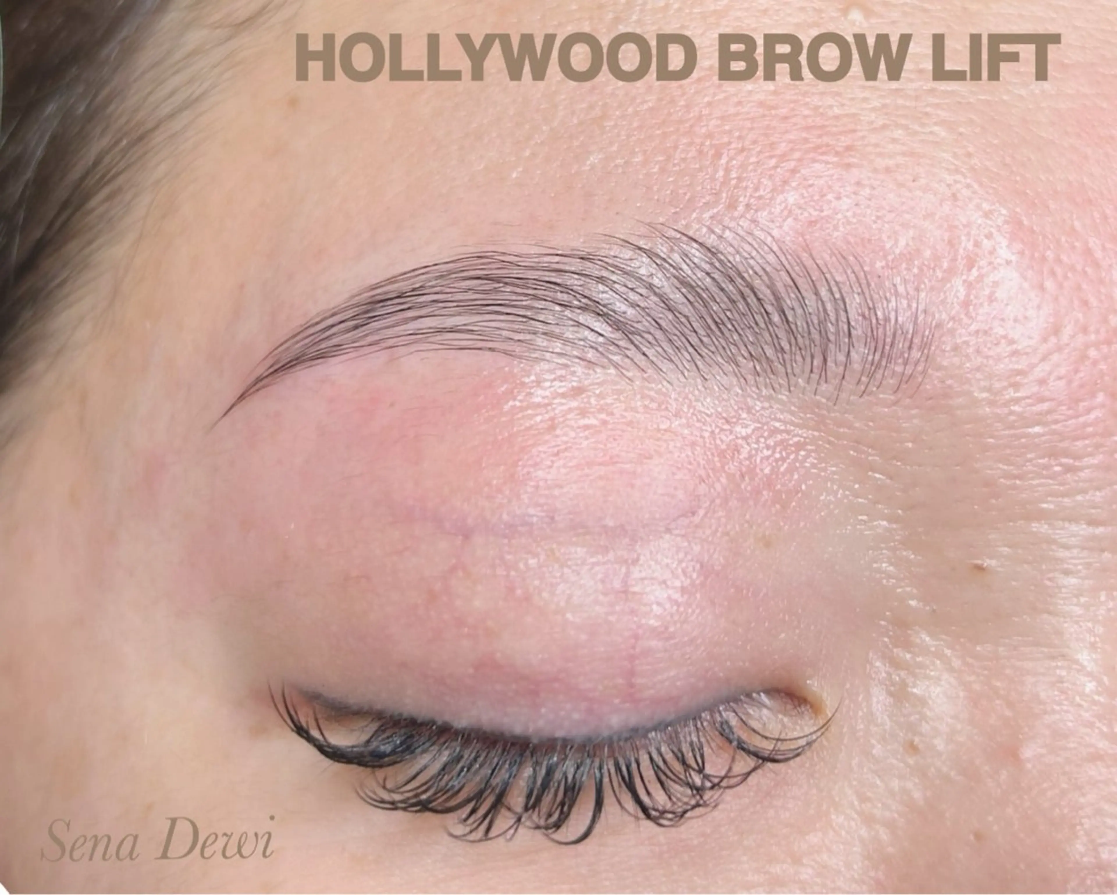 アイブロウ Sena Dewi Yukiの眉毛・アイブロウイメージ