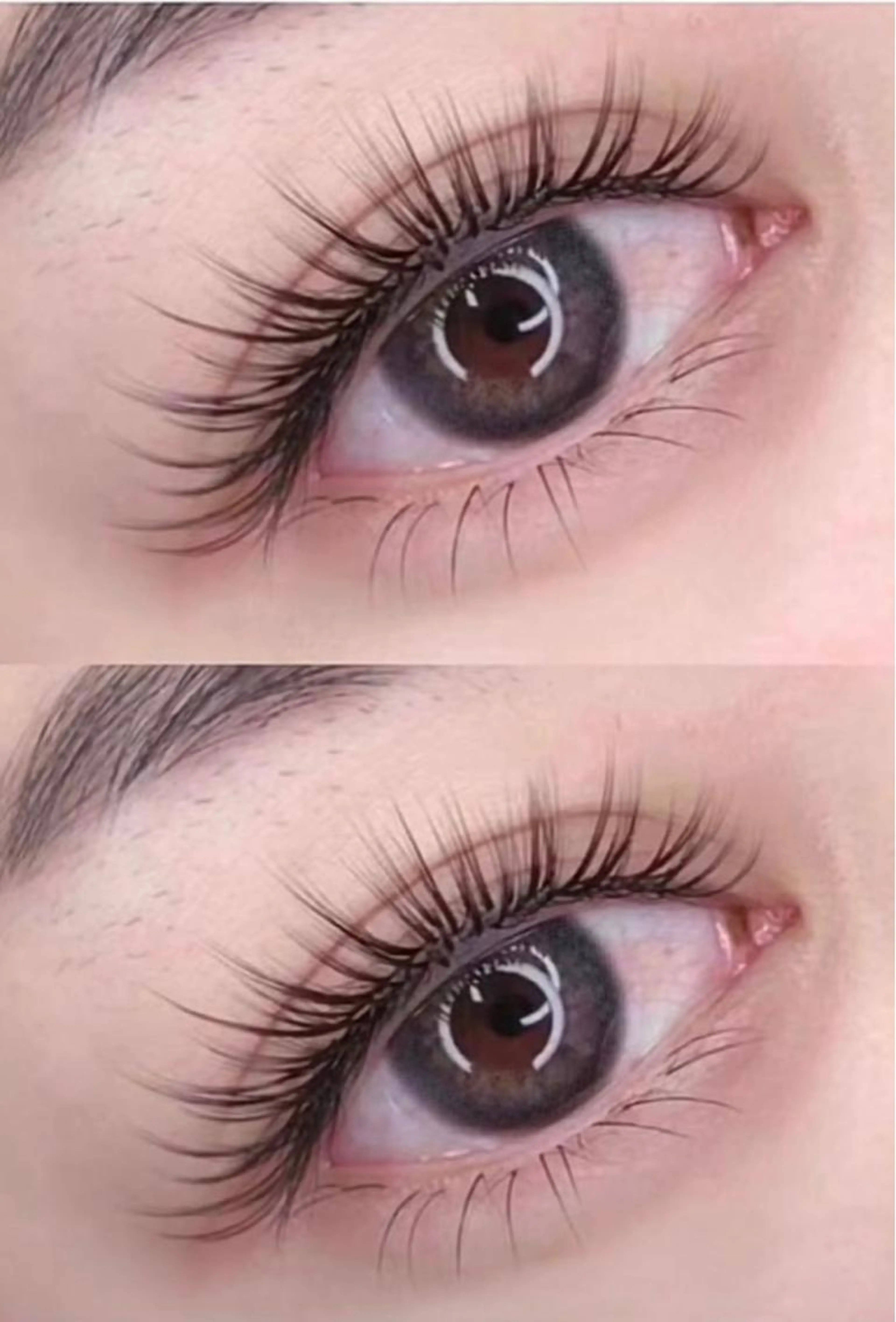 パリエク🦩パリジェンヌ（上まつ毛）+ 3Dボリュームラッシュ400本🧚‍♂️の写真