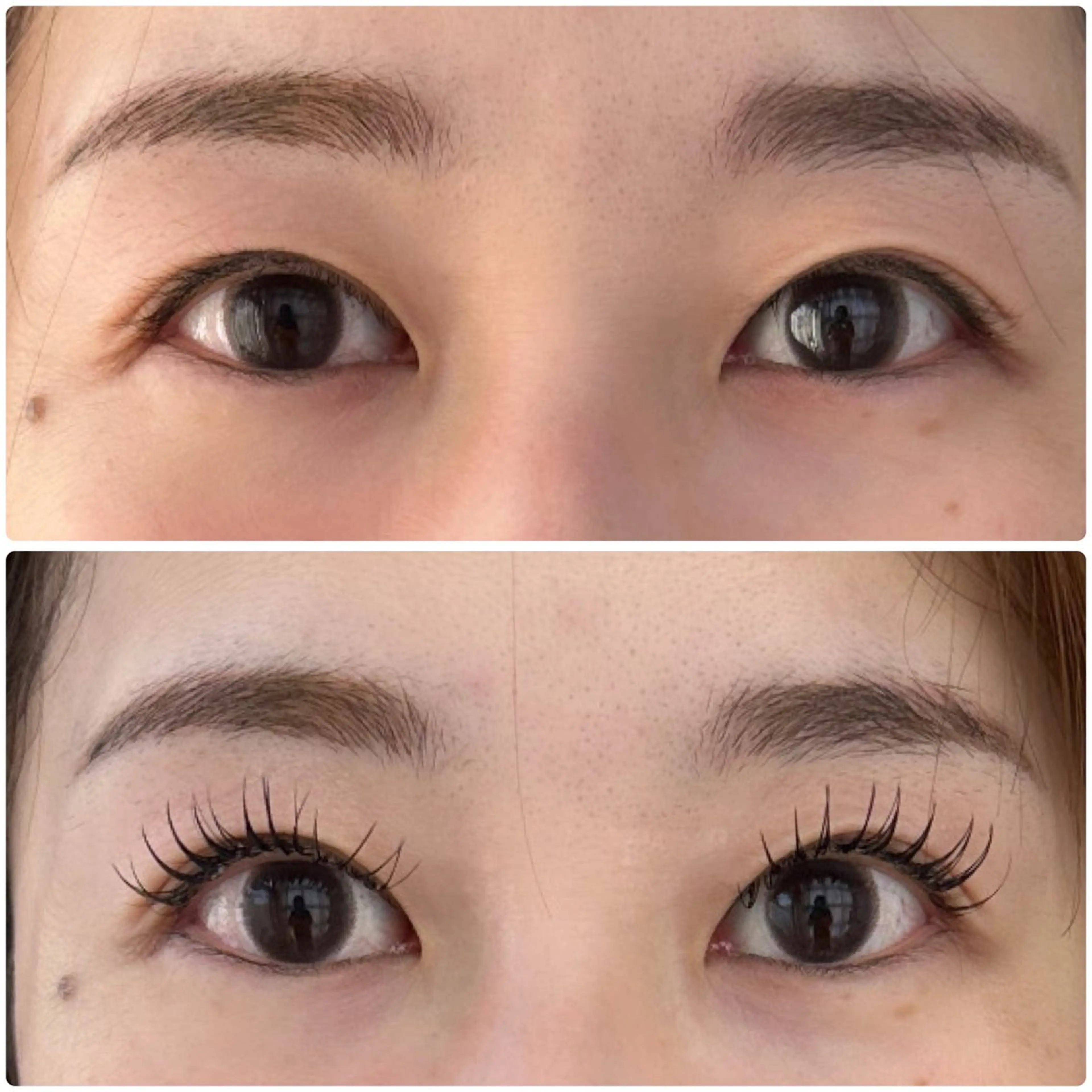 マツエク・マツパ 一重×まつ毛パーマ ORTENSIA 六本松のマツエク・マツパデザイン