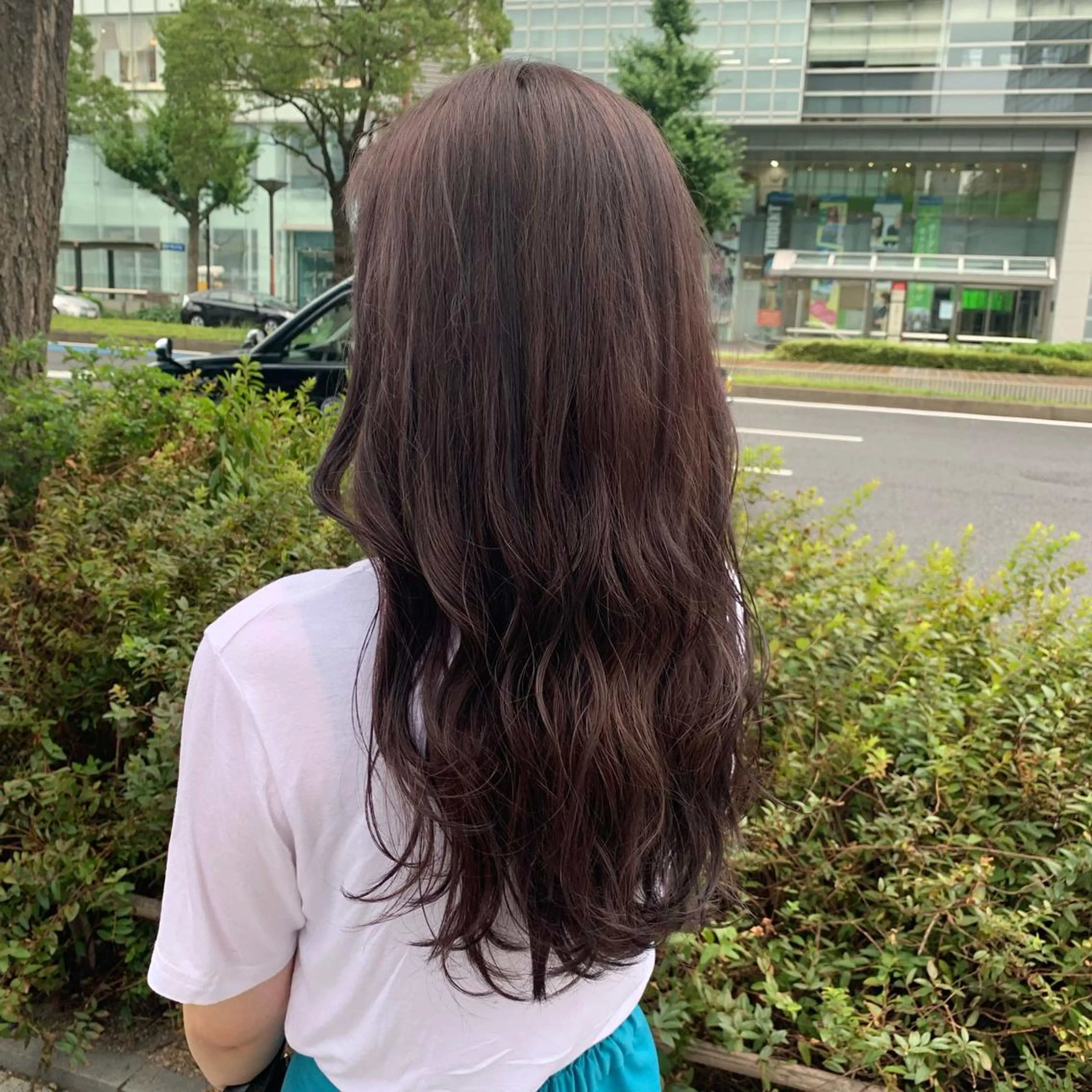 カラー ブラウンカラー パープルブラウン 染矢 優希のヘアスタイル