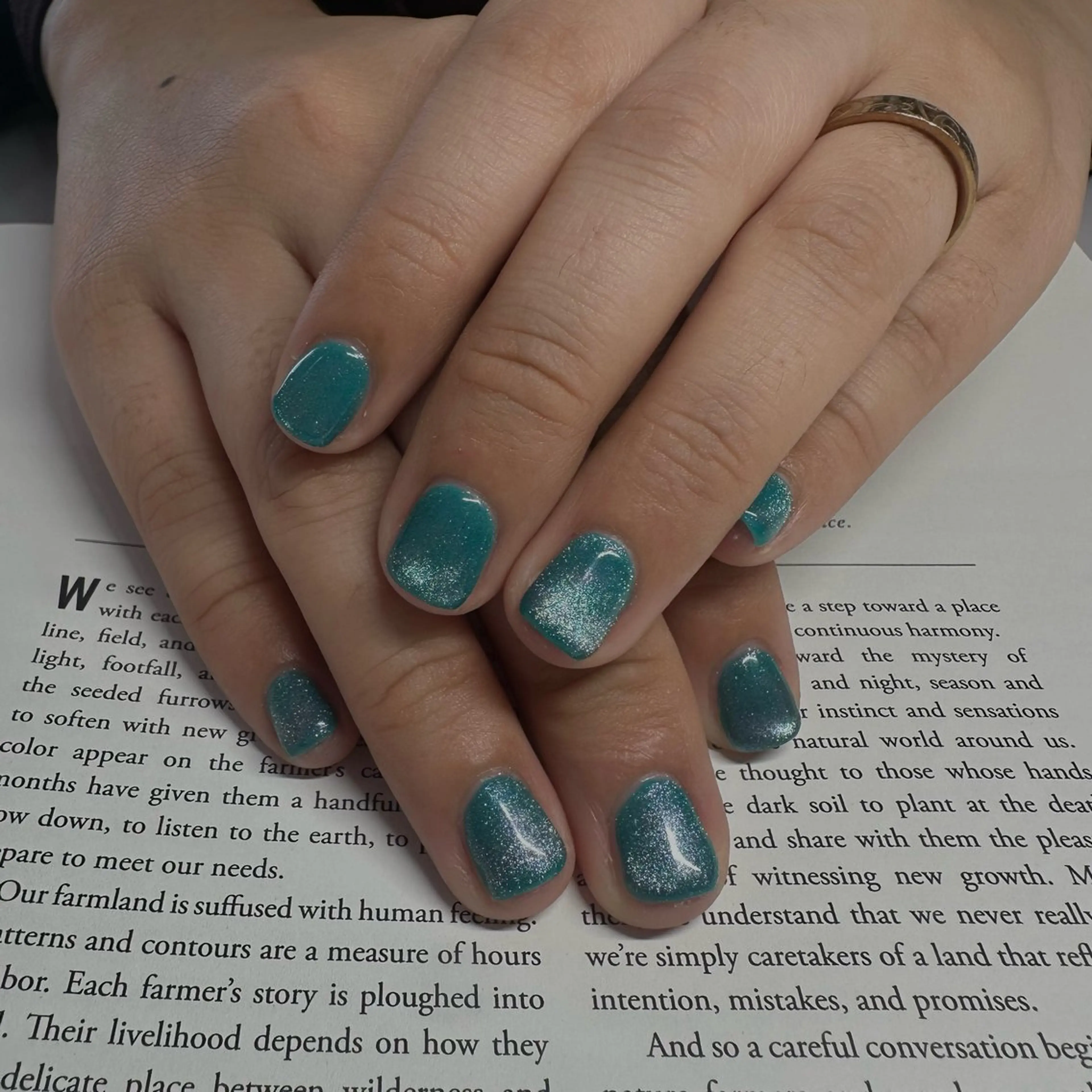 ネイル マグネットネイル マグネットワンカラー ワンカラーネイル ハンドネイル Persian Jr.のネイルデザイン