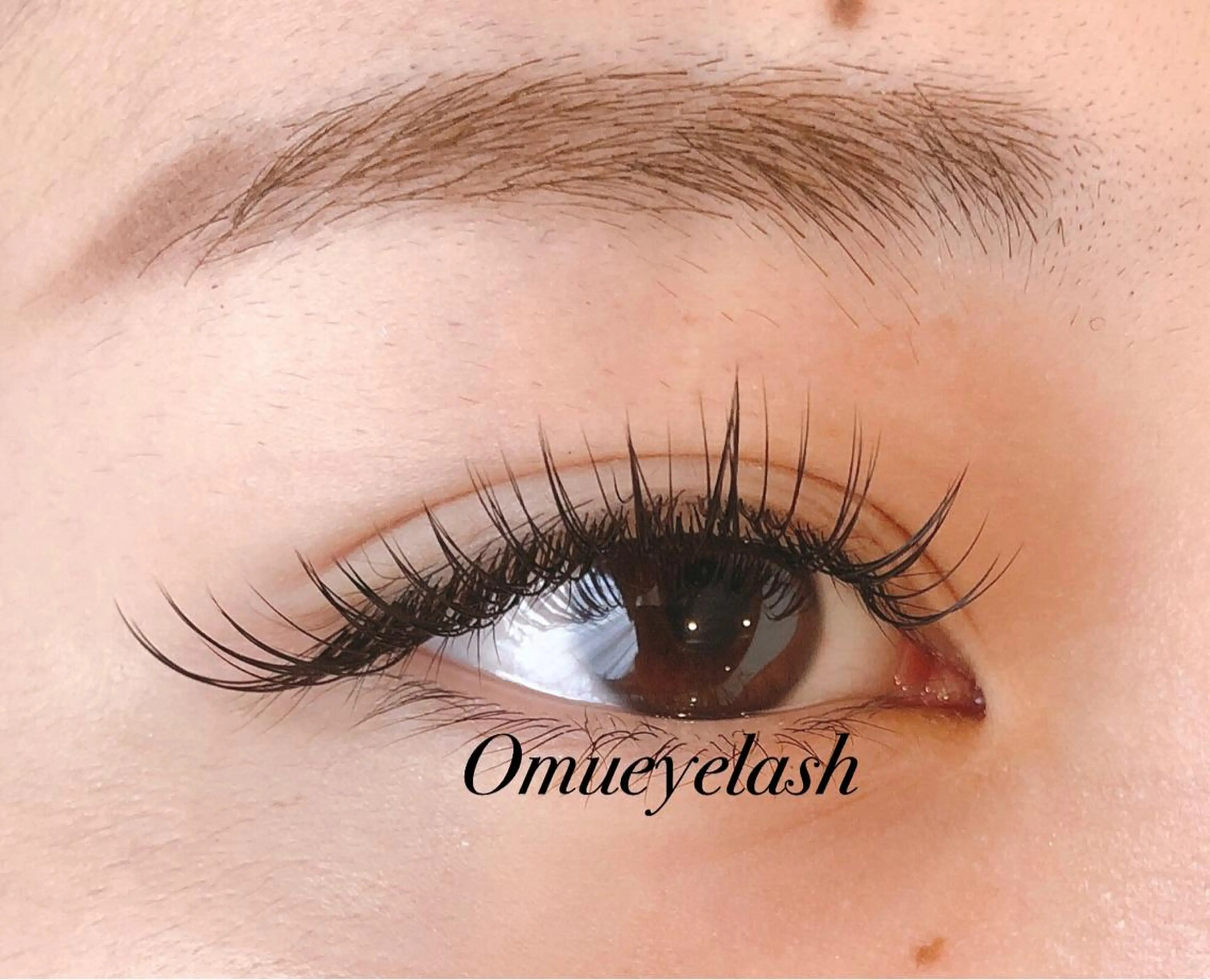 マツエク・マツパ Dカール セーブル LED＋550円☆ Omueyelashのマツエク・マツパデザイン