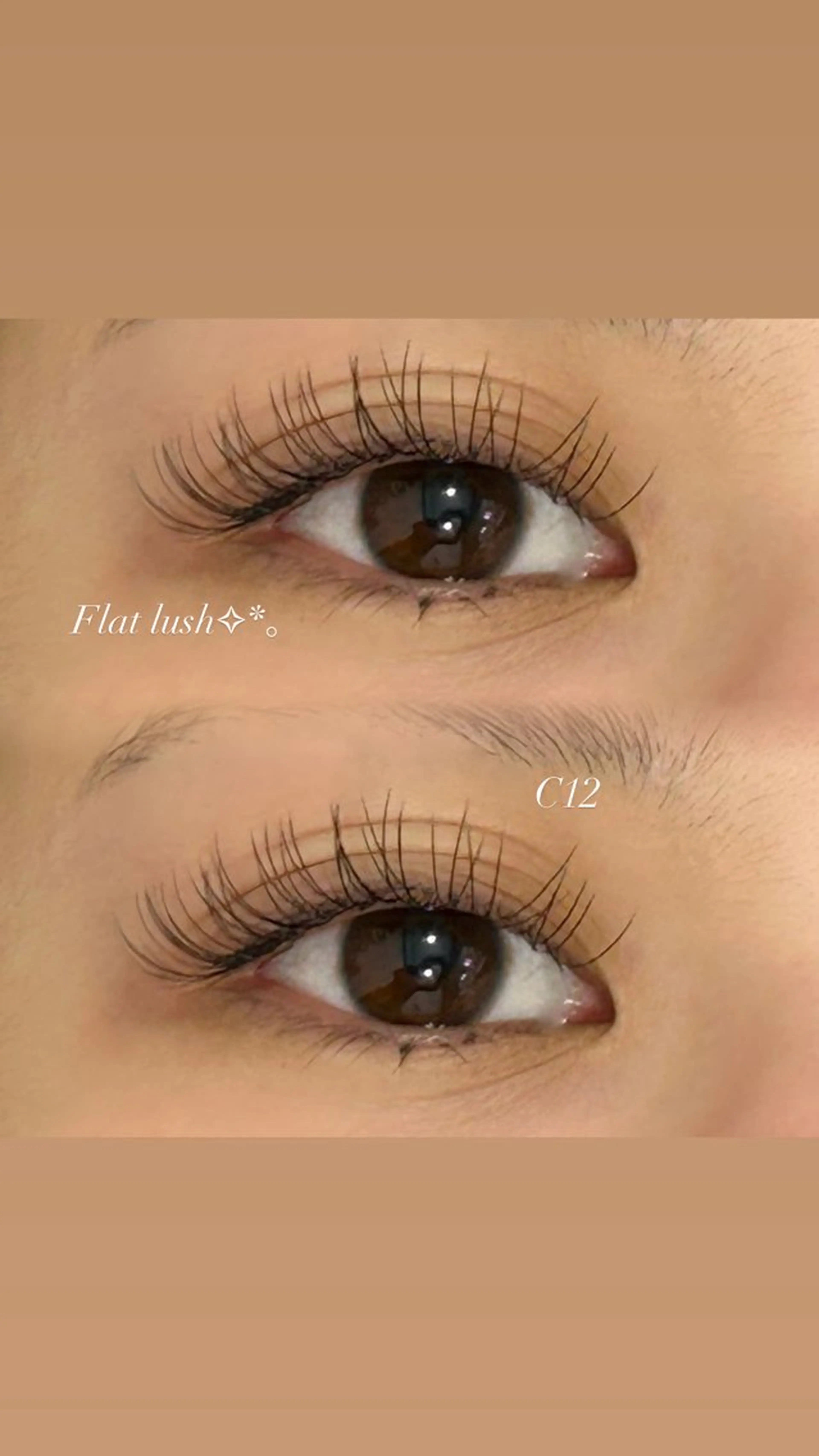 期間限定🎀✧︎*。【オフ別途】フラットラッシュ100本🖤の写真