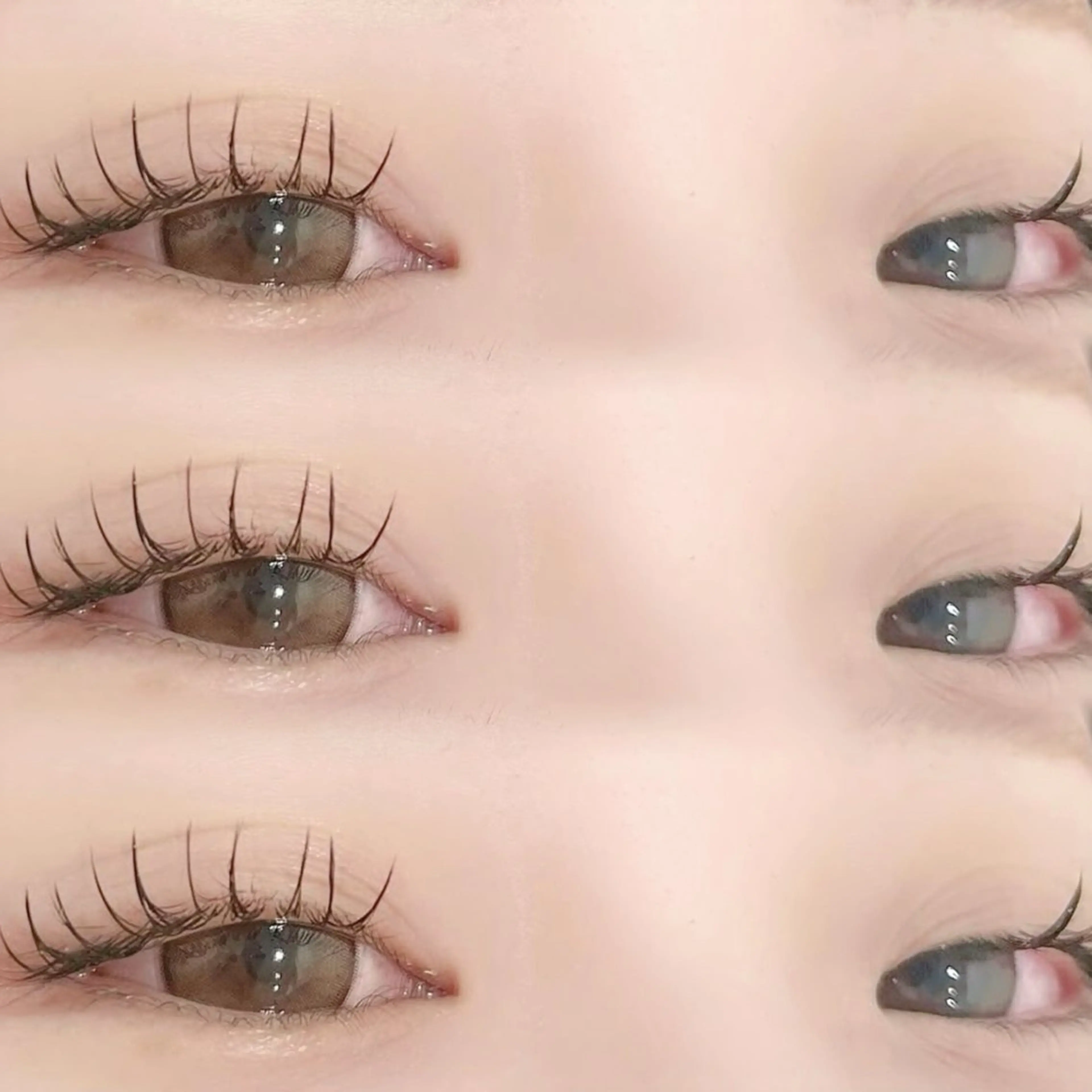 🍯マツエク120本🍯 オフ代込み❕の写真