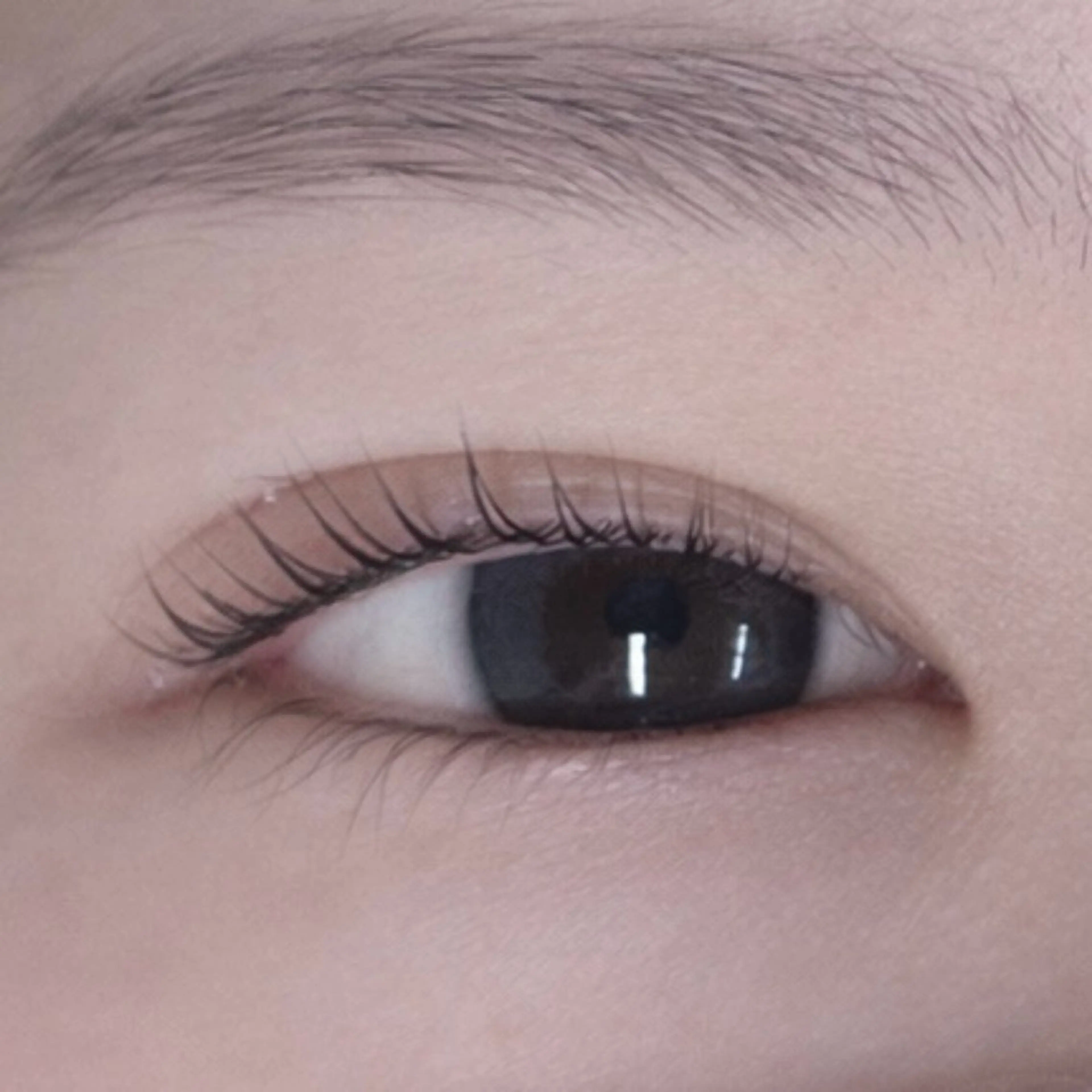 マツエク・マツパ BELLEZZA 神楽坂 🫧カワマタのマツエク・マツパデザイン