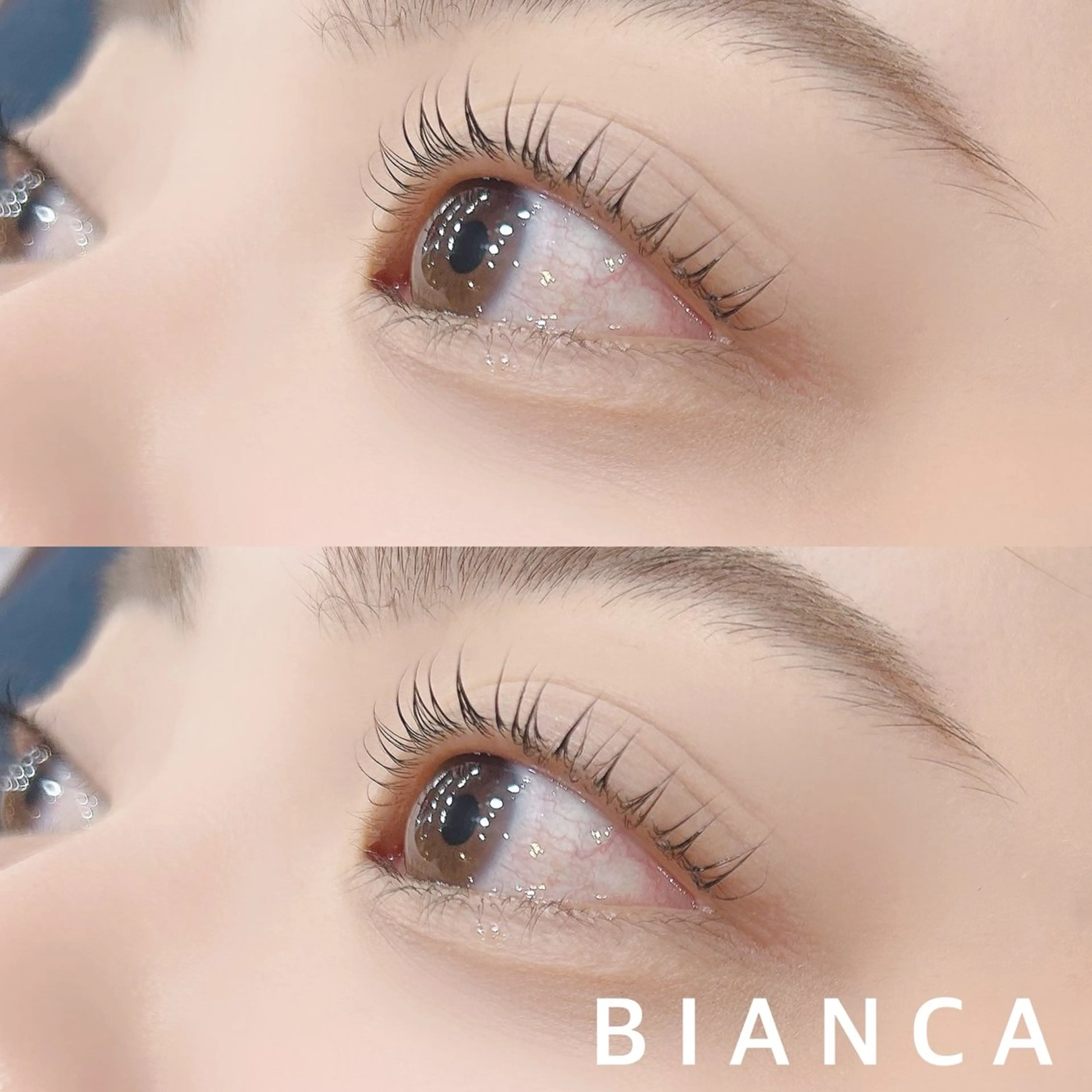 🦋まつ毛パーマ【上のみ】🦋お好みに合わせてカールデザイン✨️トリートメント付き✨️/武蔵小金井の写真