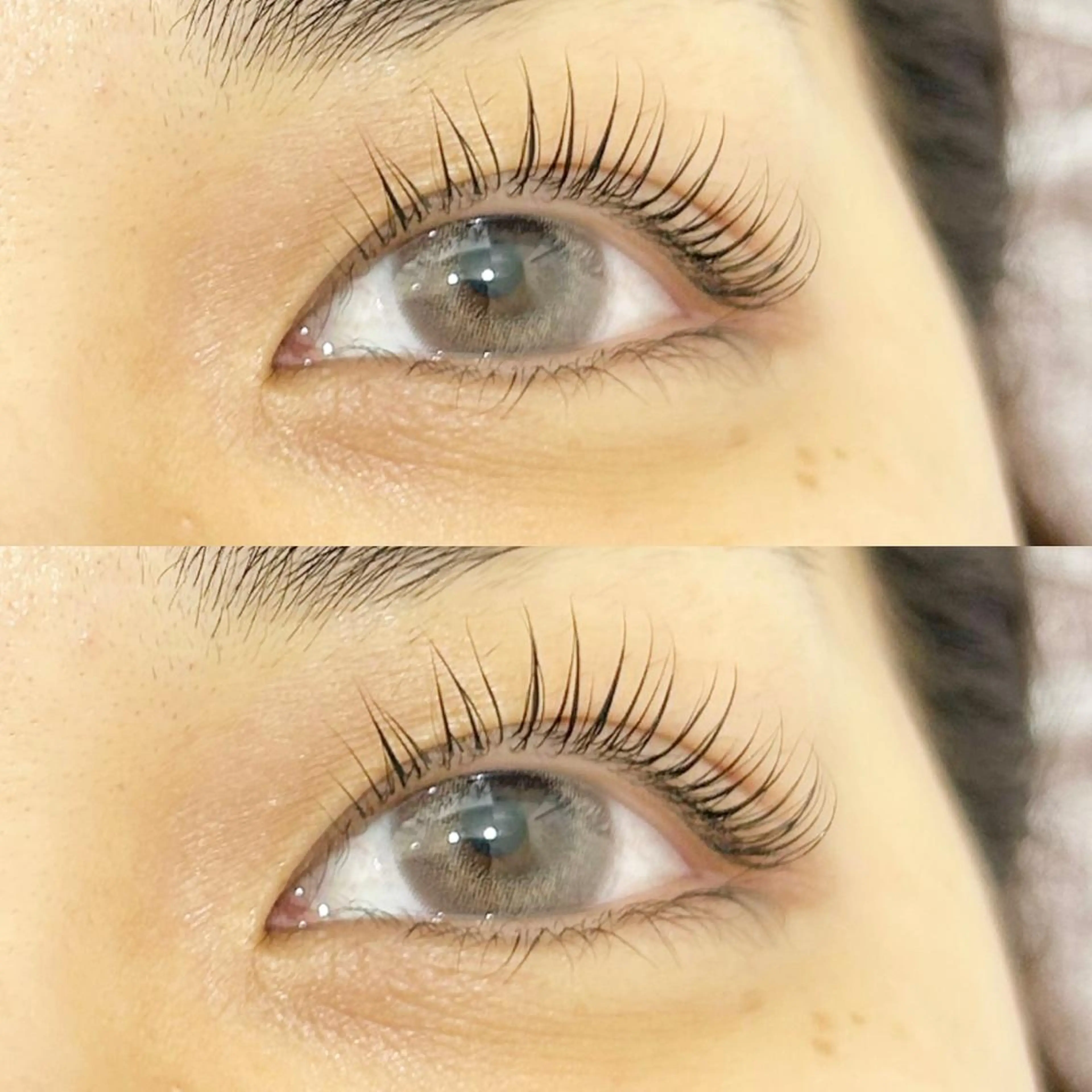 💫まつげパーマ(トリートメント付き)＋美眉スタイリング💖(⚠️当日予約不可)の写真