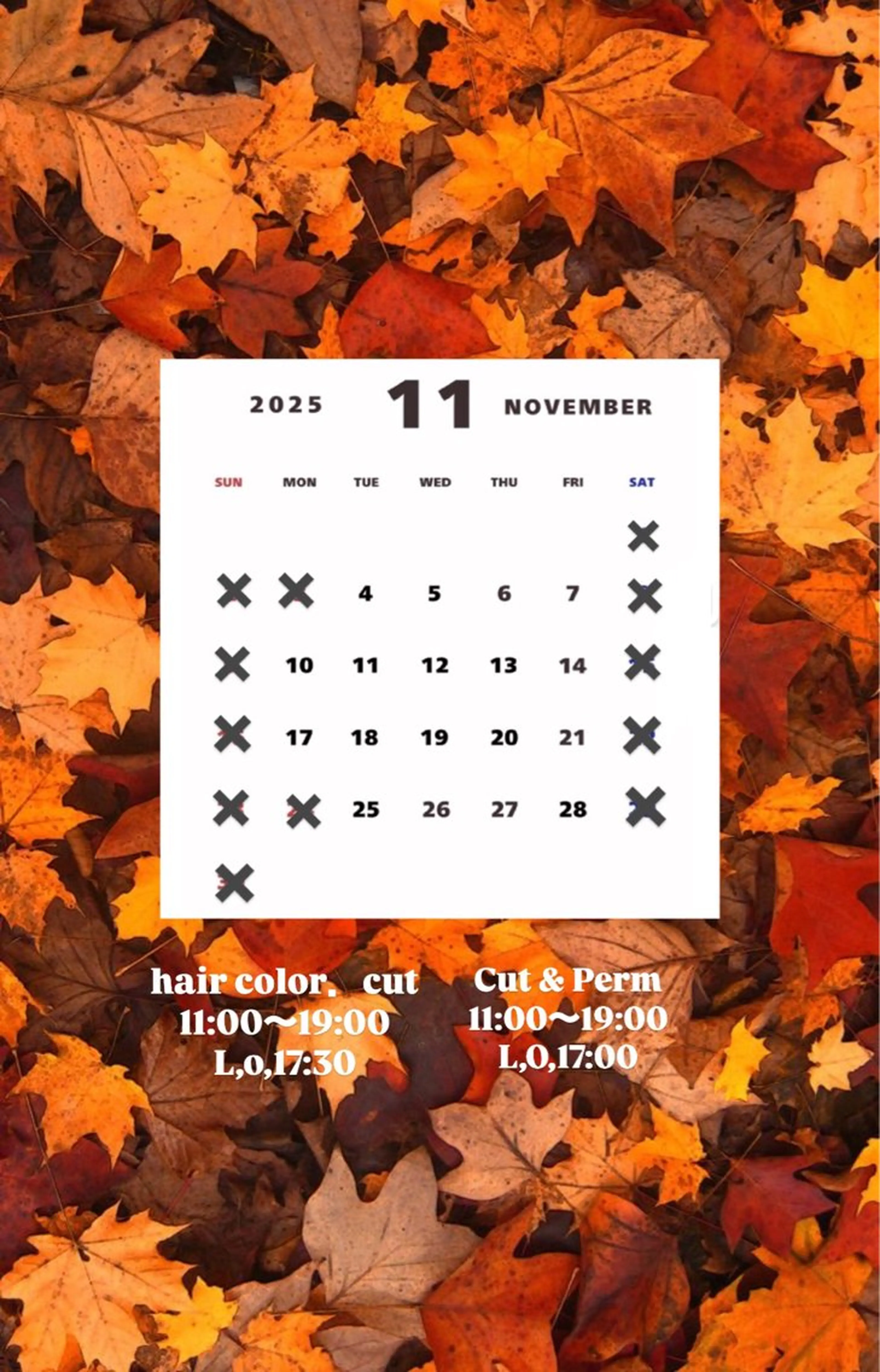 ショート ハロウィン Agu hair noman マナのヘアスタイル