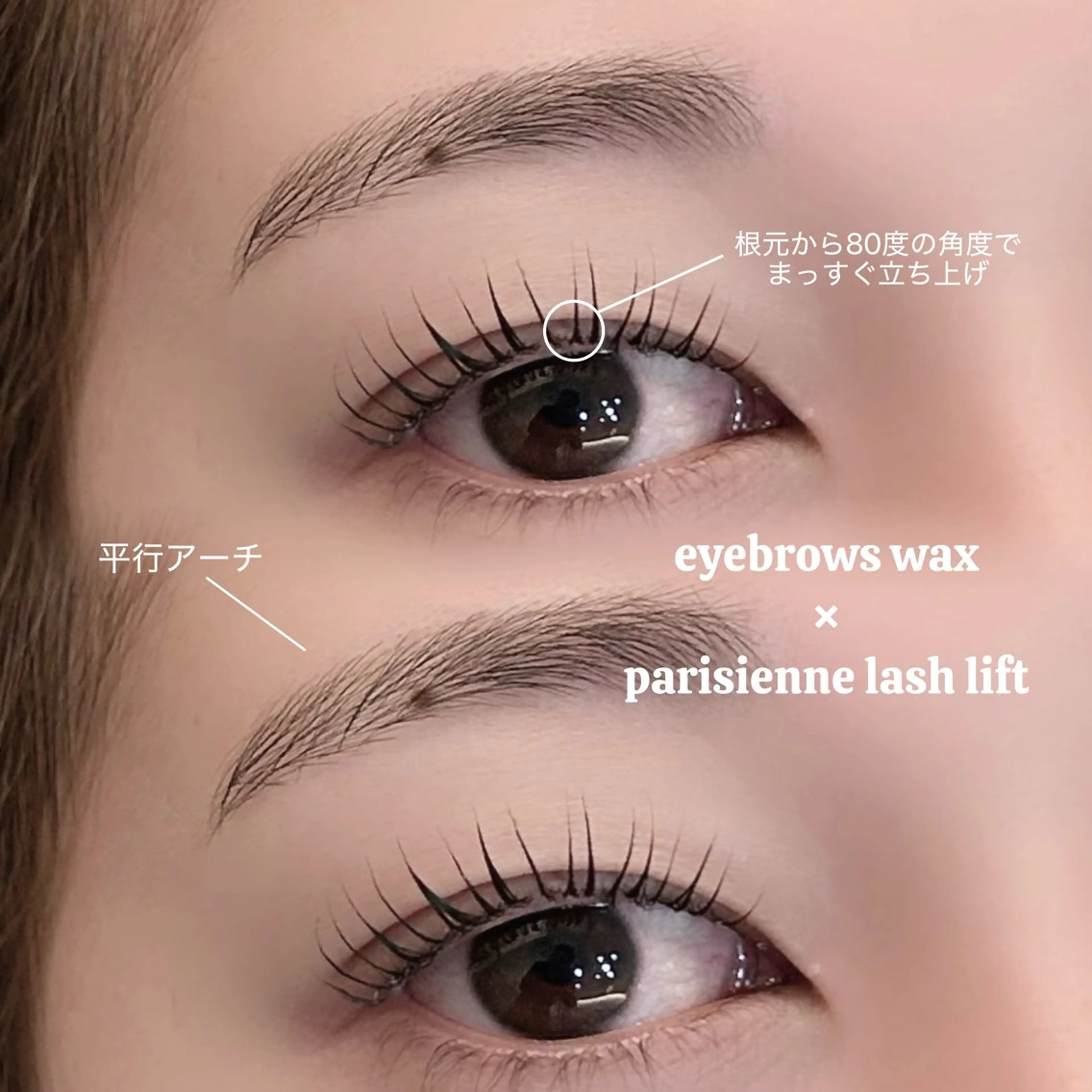 《ご新規様🆕》 🪐上下ラッシュリフト🪐 コーティング剤束感仕上げ.*･ﾟ/土日祝+500円の写真