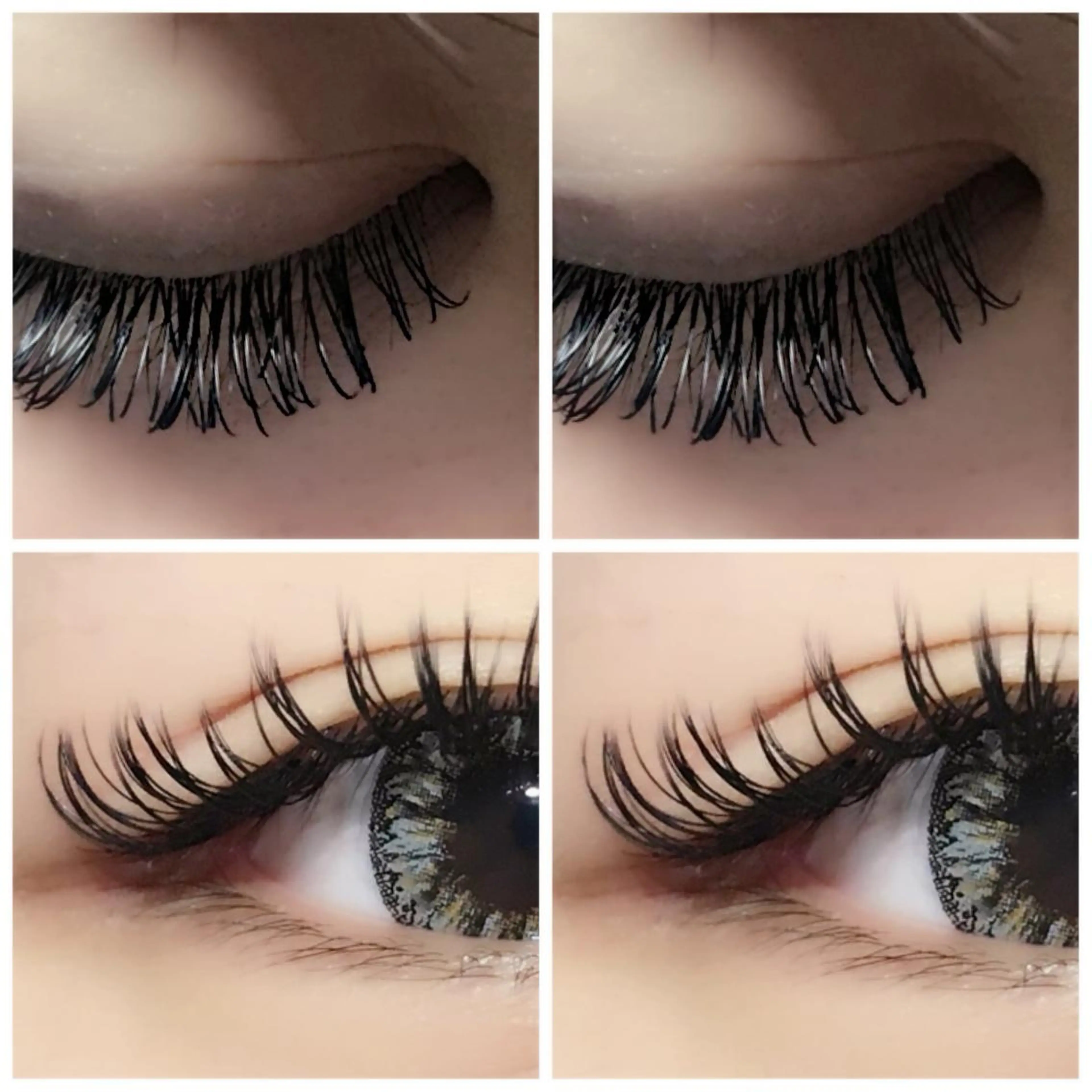 マツエク・マツパ Dカール フラットラッシュ ちだ りさこ🌼𓈒𓏸のマツエク・マツパデザイン