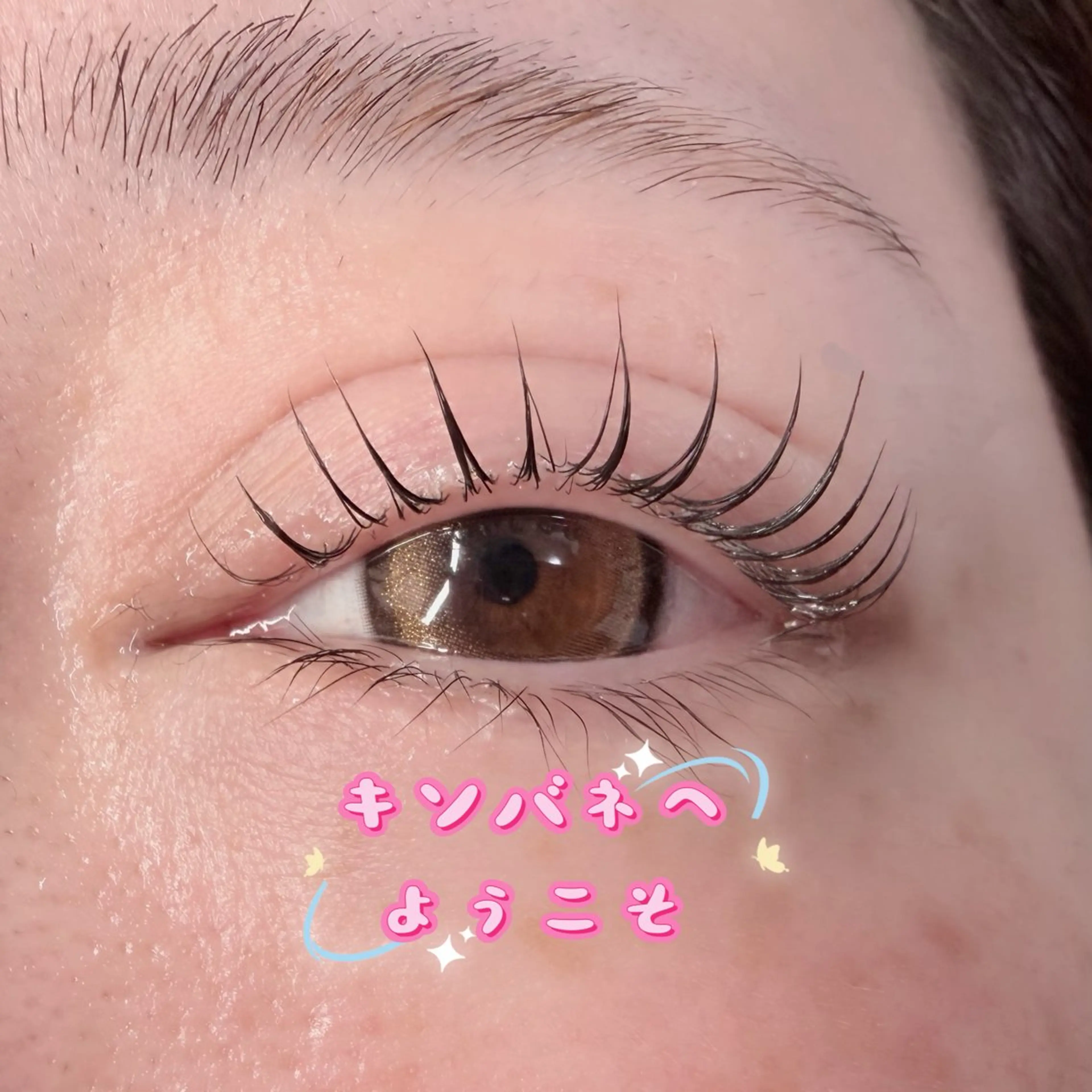 マツエク・マツパ 韓国風マツエク パリジェンヌラッシュリフト まつげパーマ 下まつげエクステ 一重×まつ毛パーマ マツパ キンバネ・サロン 高田馬場店のマツエク・マツパデザイン