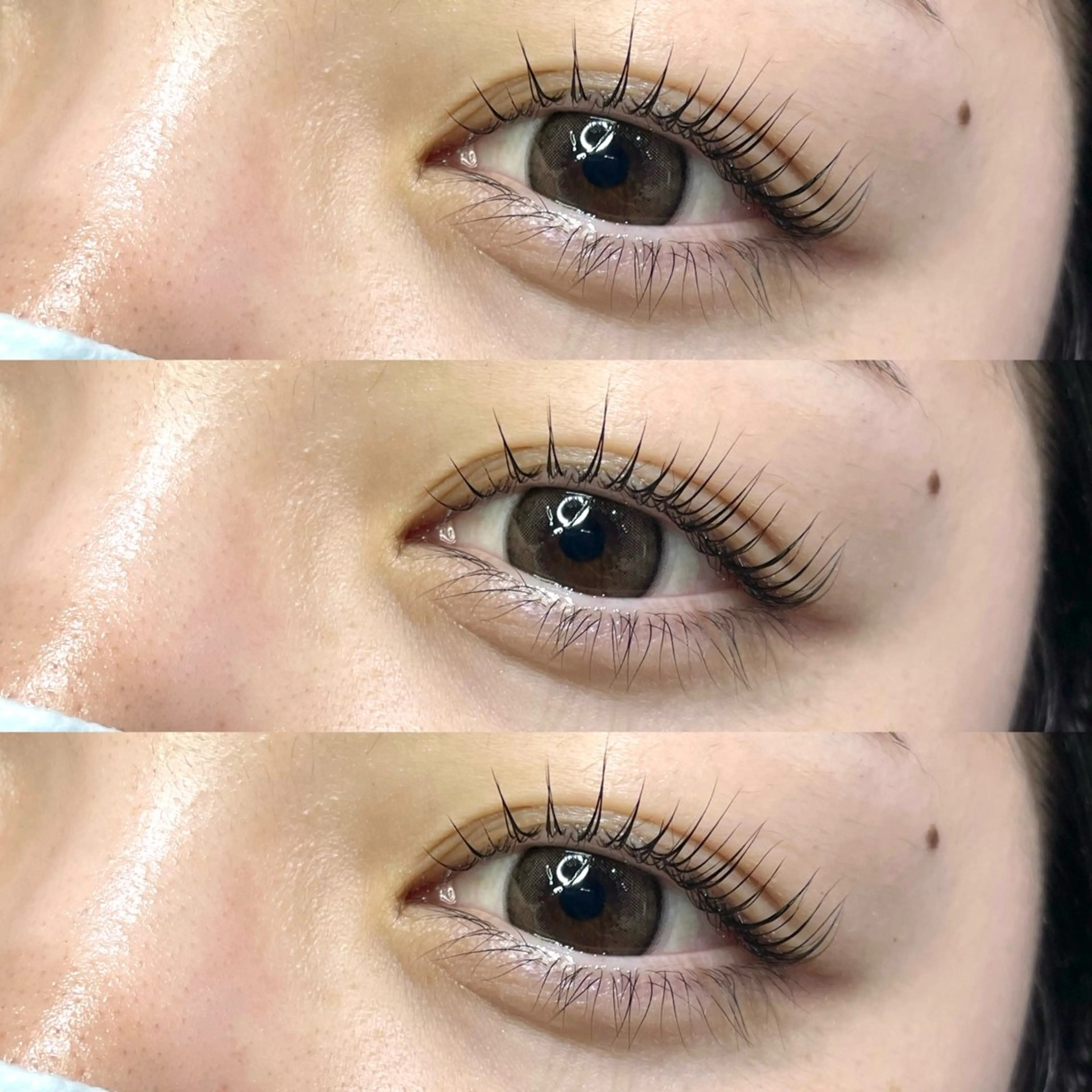 🌼パリジェンヌラッシュリフト🌼の写真