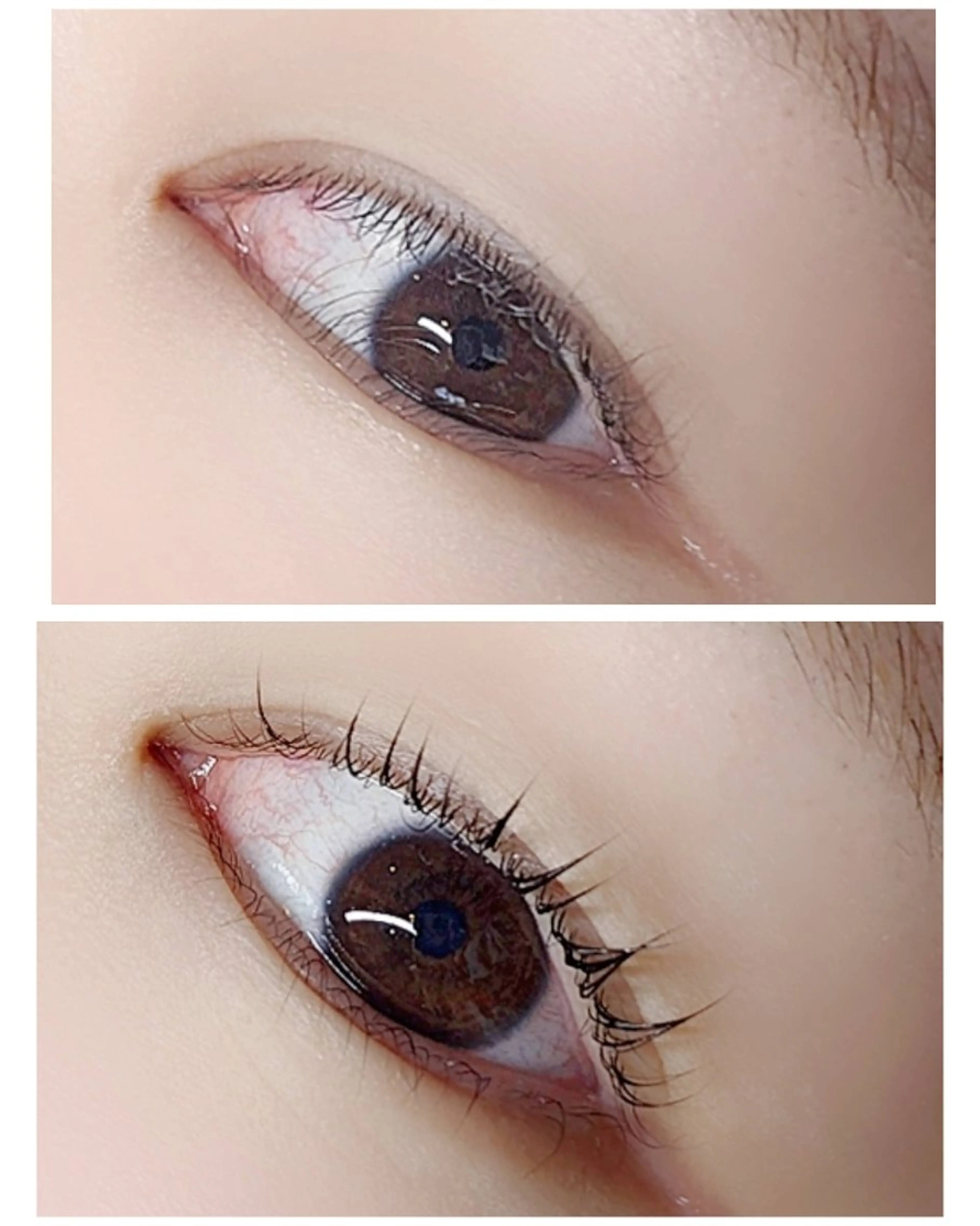 【逆さまつ毛さん必見】選べるデザイン上下まつ毛パーマ ✨の写真