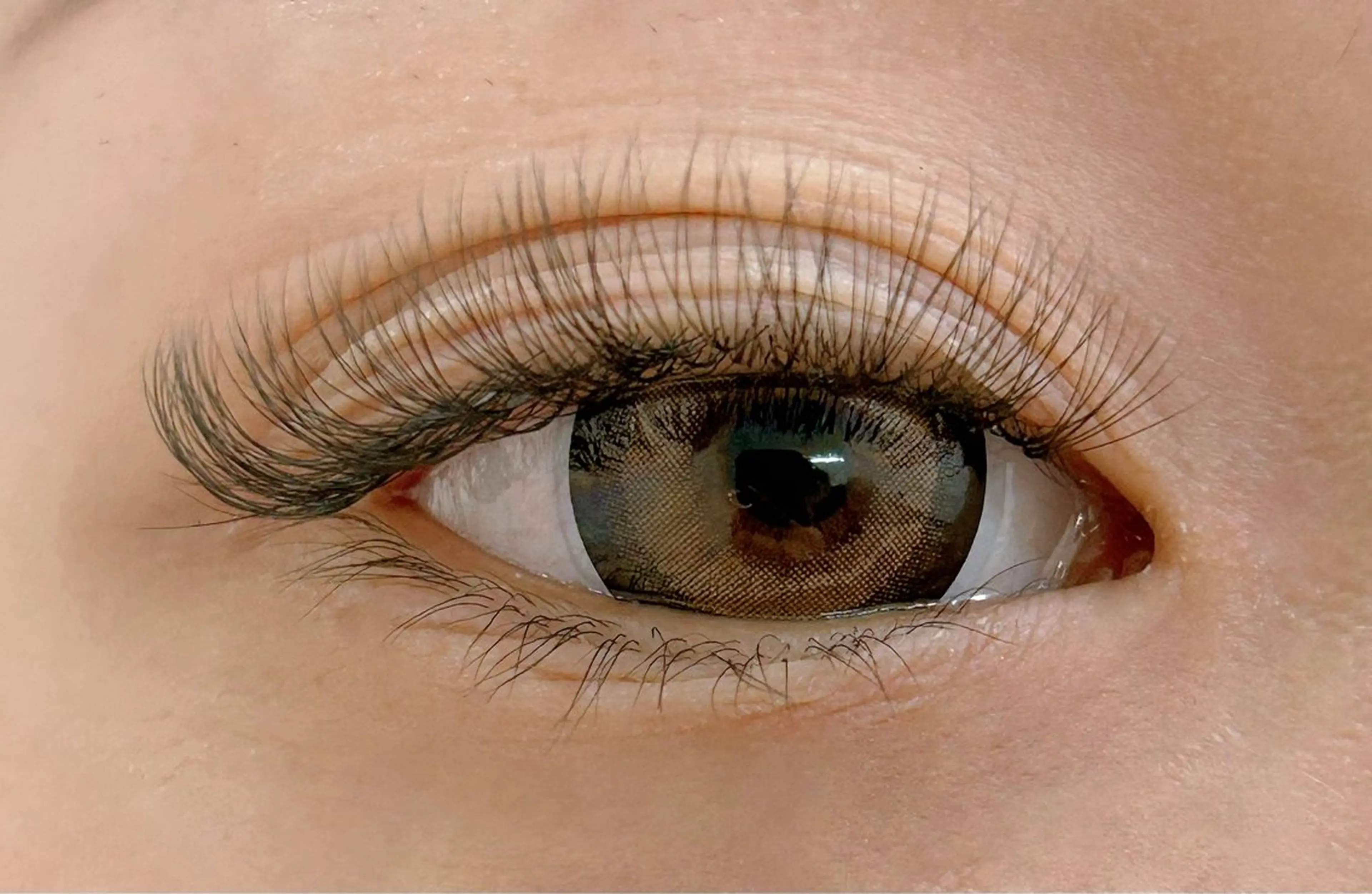 3Dのみ付け放題の写真