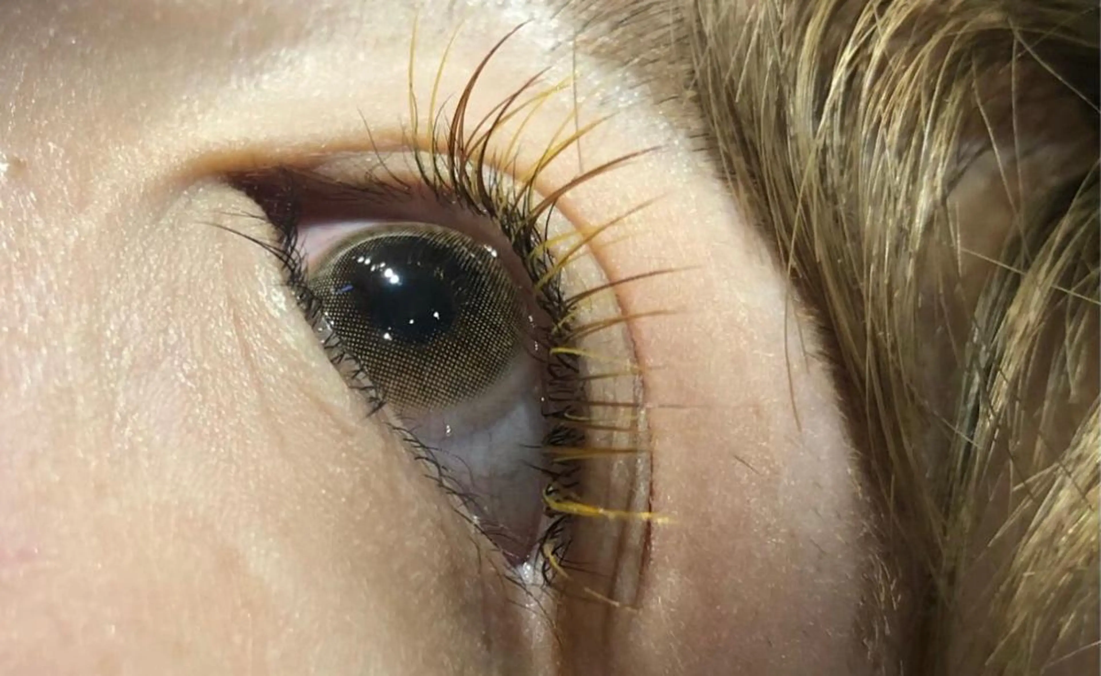 マツエク・マツパ Ai Quick 北千住🌿saitoの眉毛・アイブロウイメージ