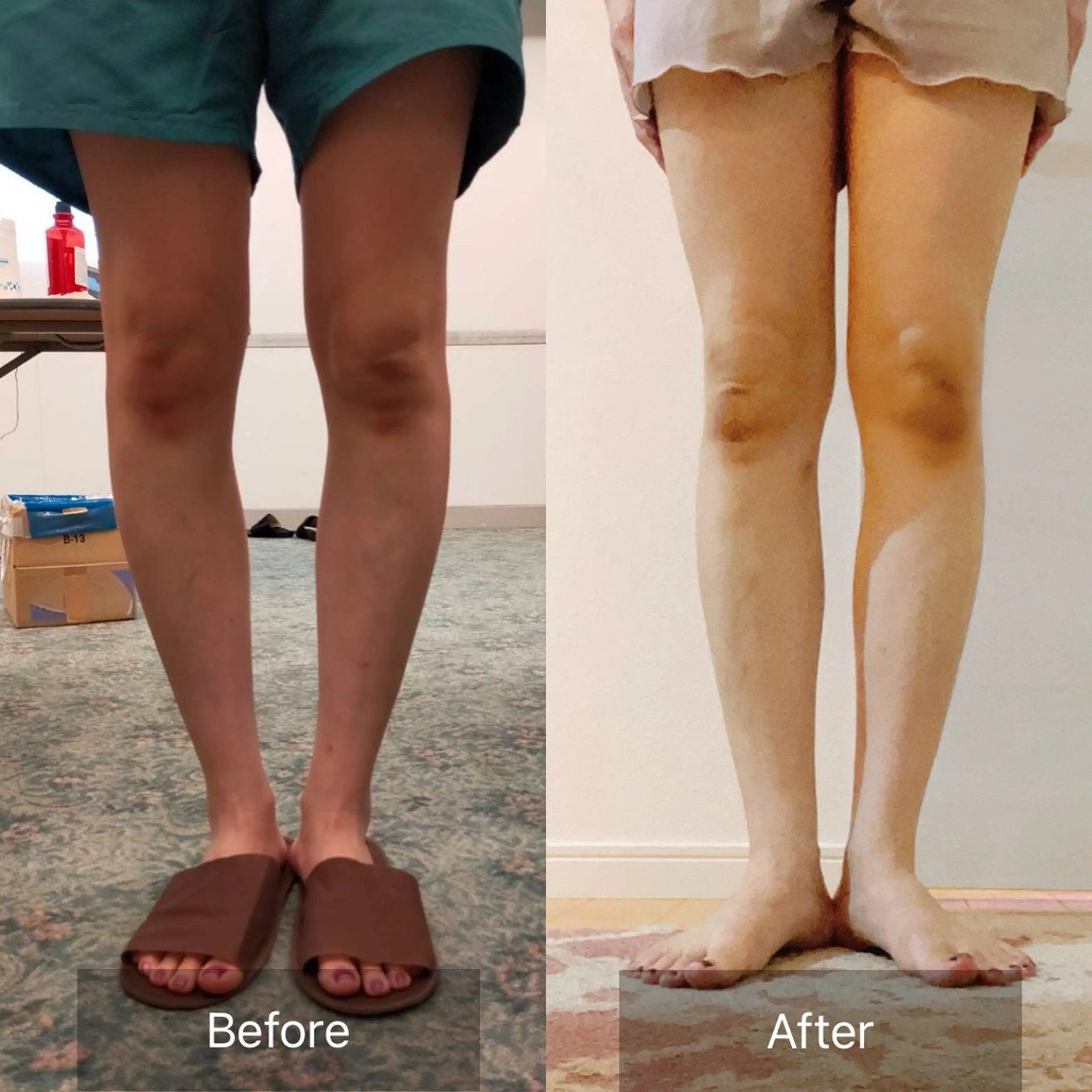 めぐらせの 森のその他イメージ