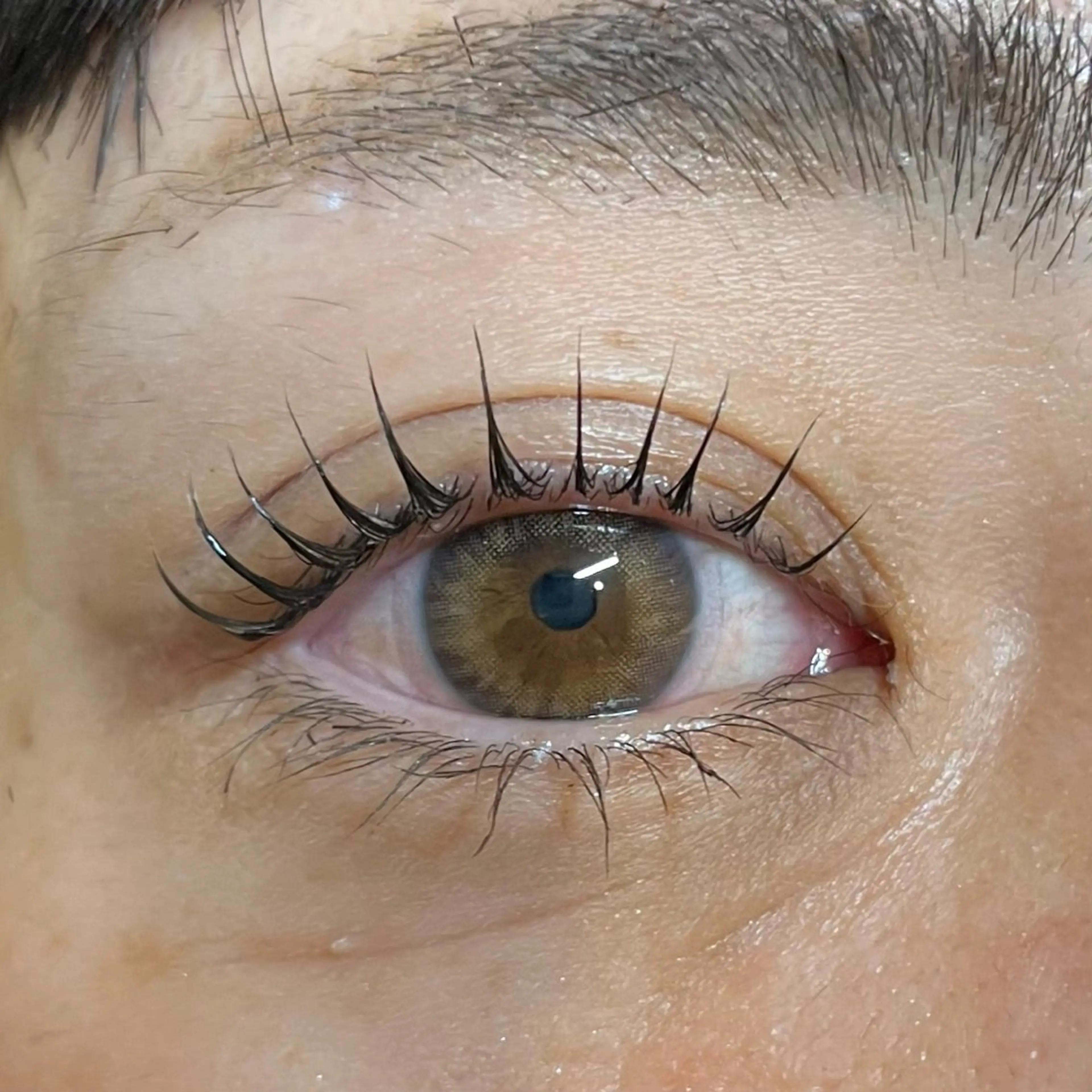 マツエク・マツパ マツパ nouvell セキモユウカ🦄のマツエク・マツパデザイン